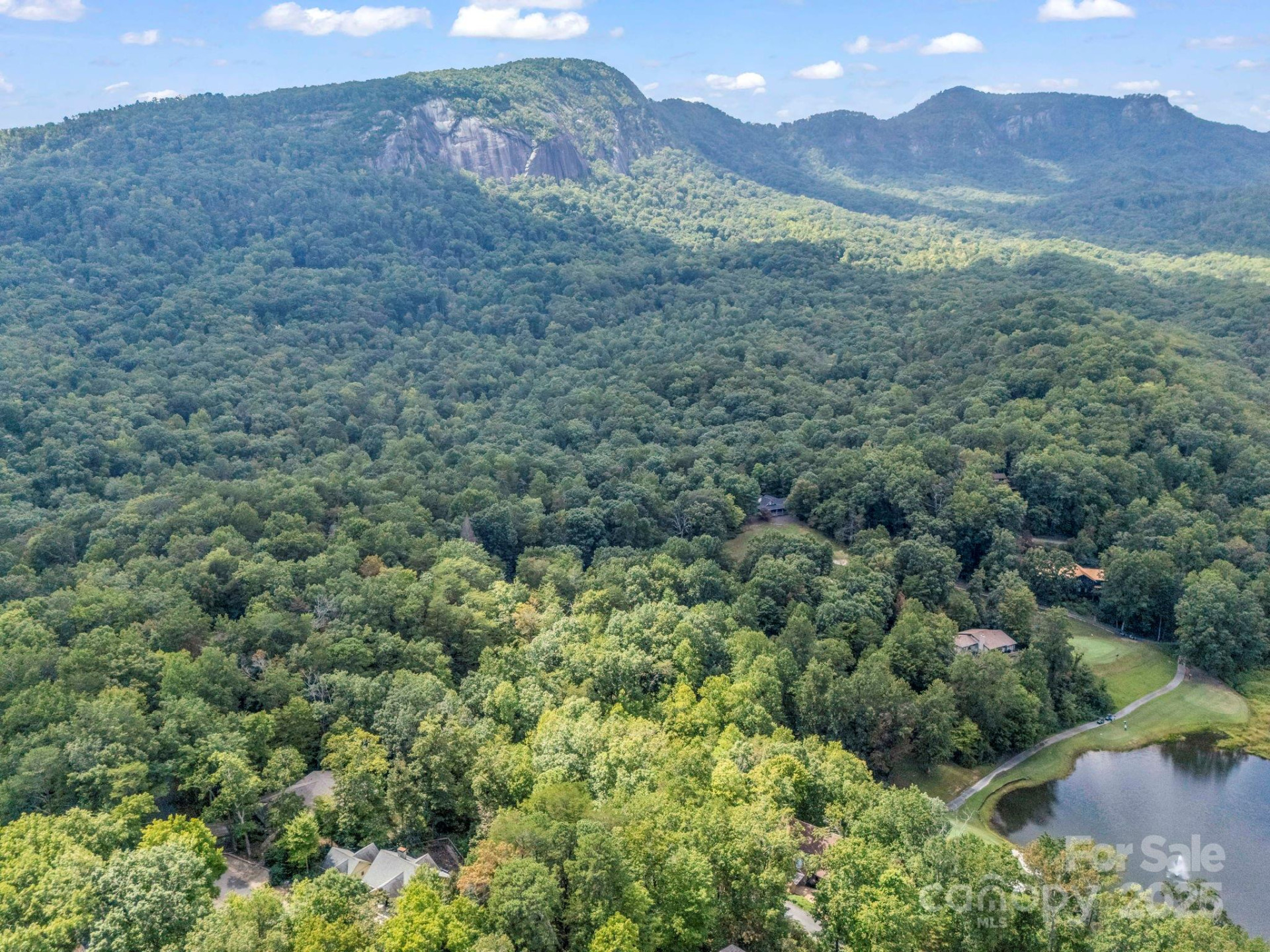 36 Bee Tree Point Court - Photo 35