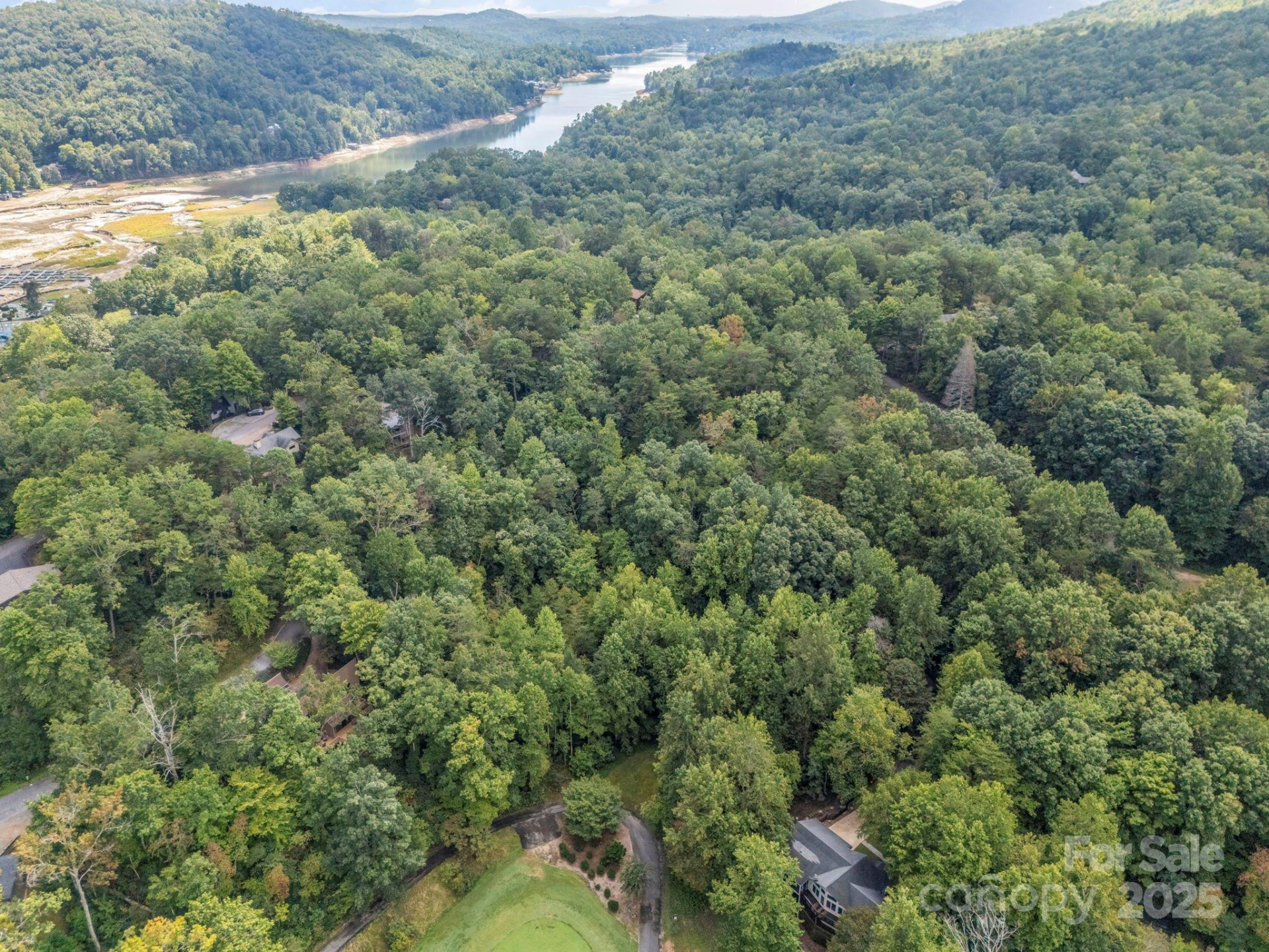 36 Bee Tree Point Court - Photo 37