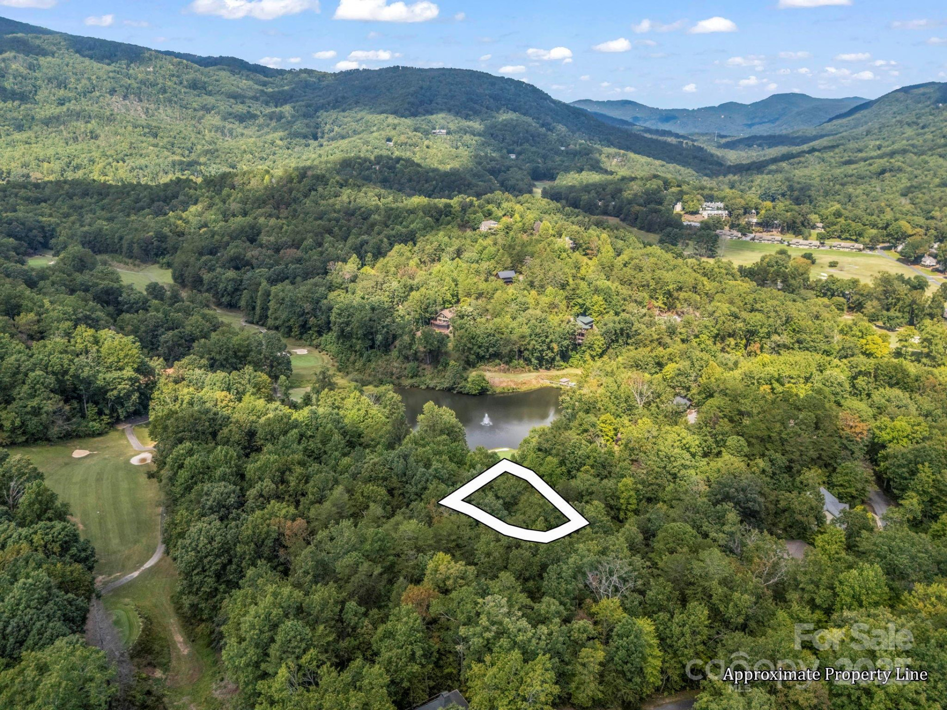 36 Bee Tree Point Court - Photo 5