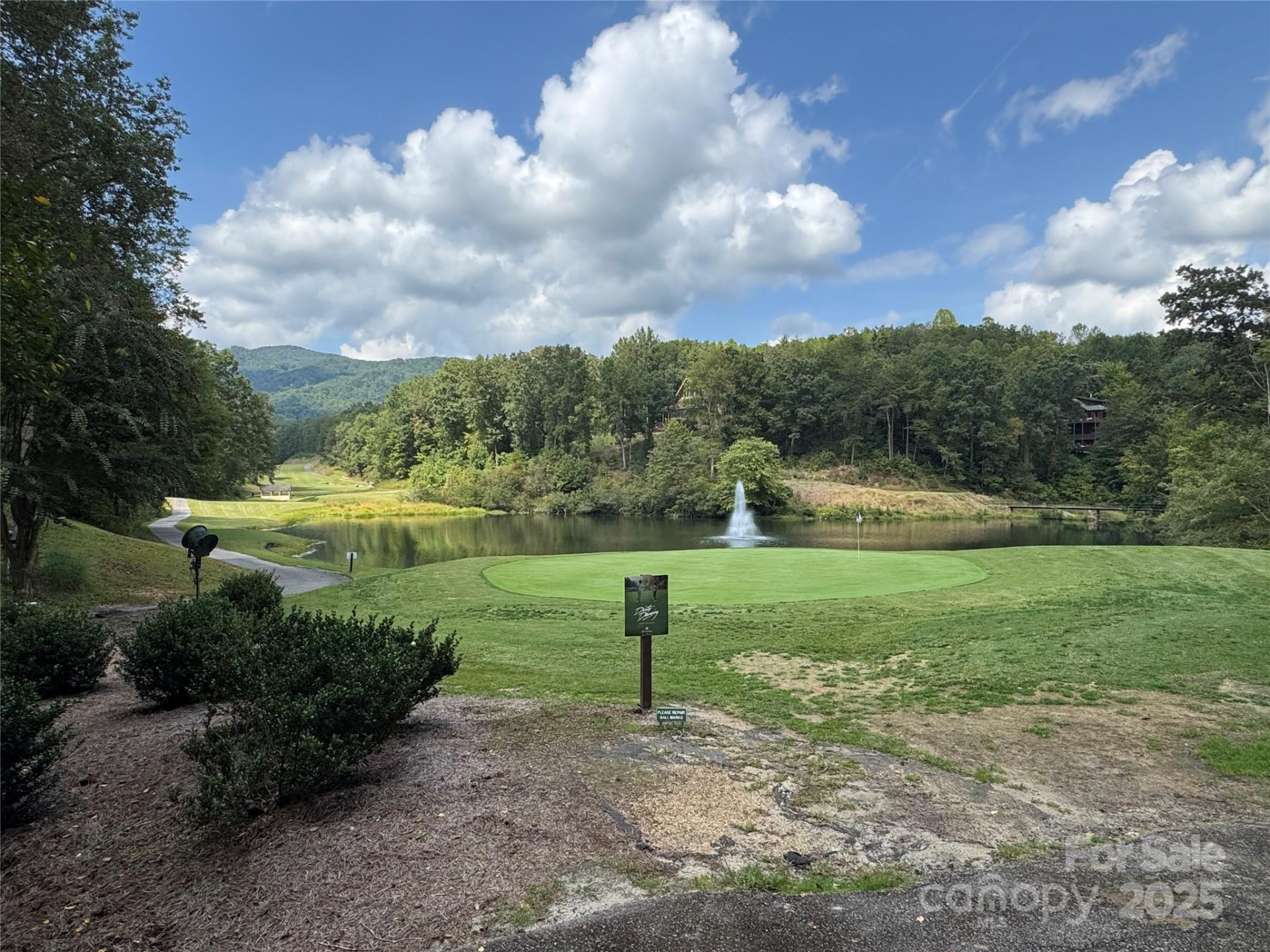 36 Bee Tree Point Court - Photo 8