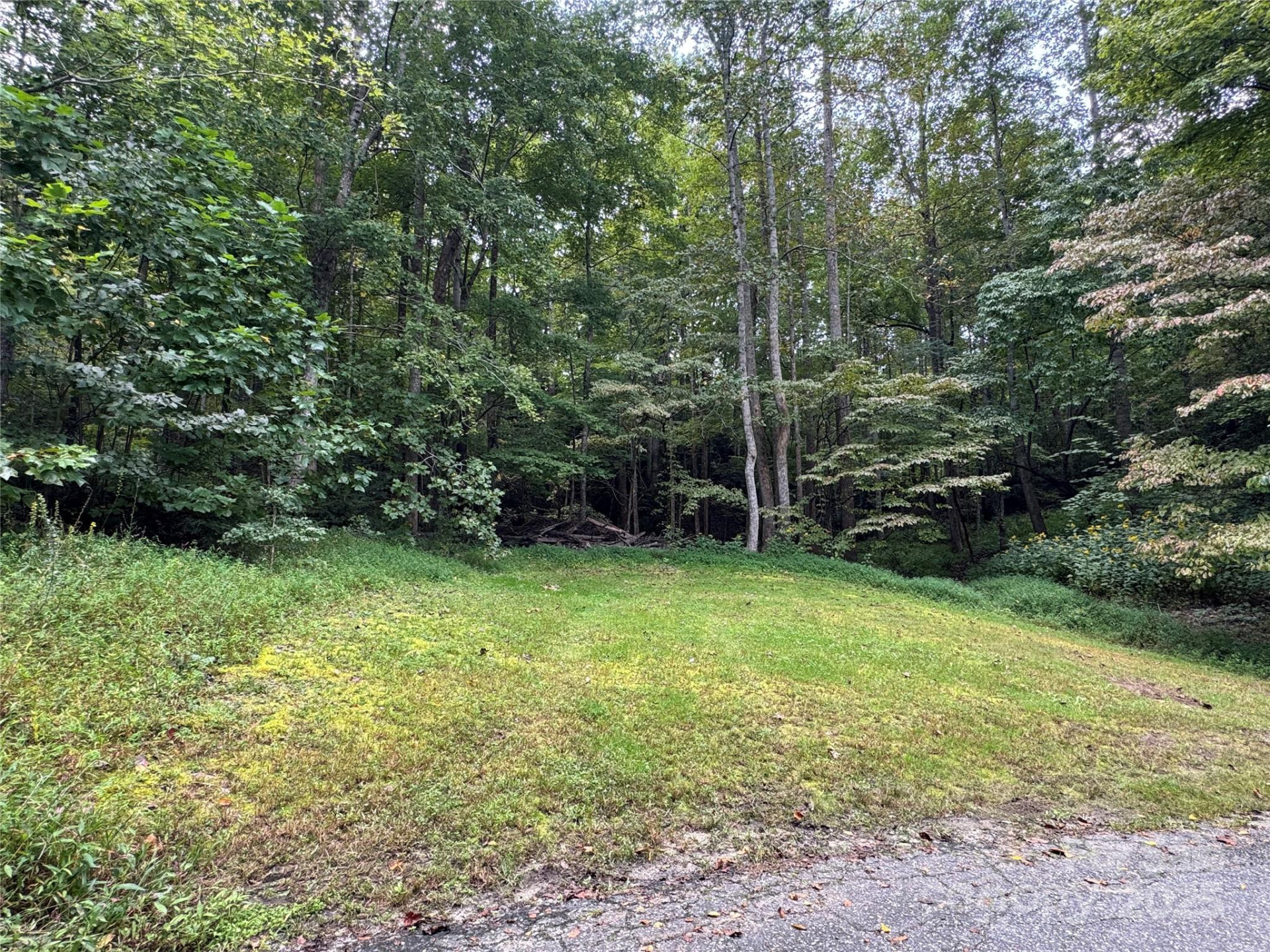 36 Bee Tree Point Court - Photo 9