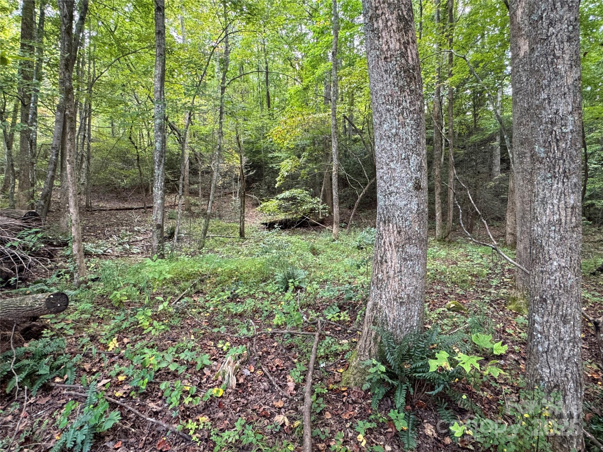 36 Bee Tree Point Court - Photo 10