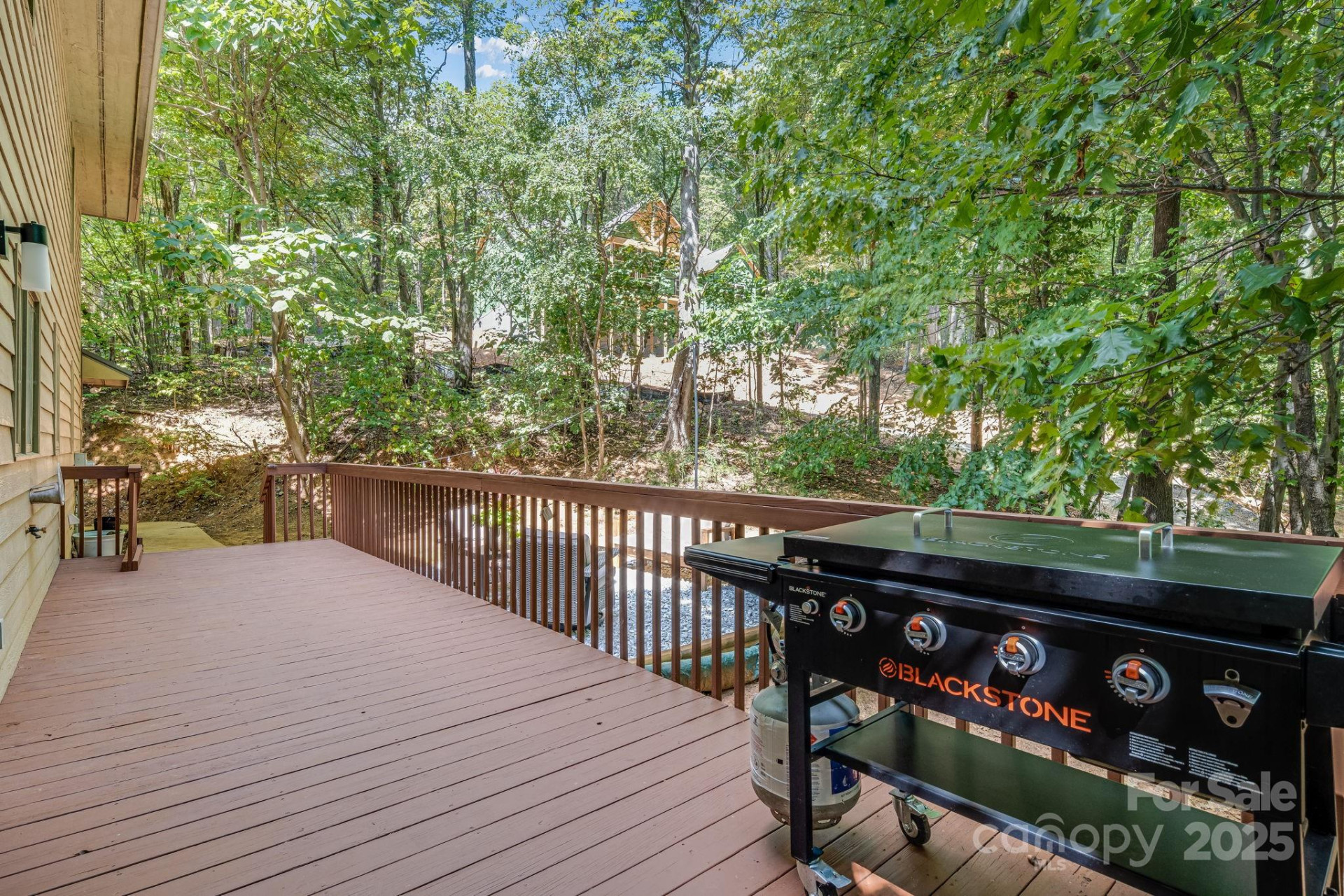 25 Lovebird Lane - Photo 17