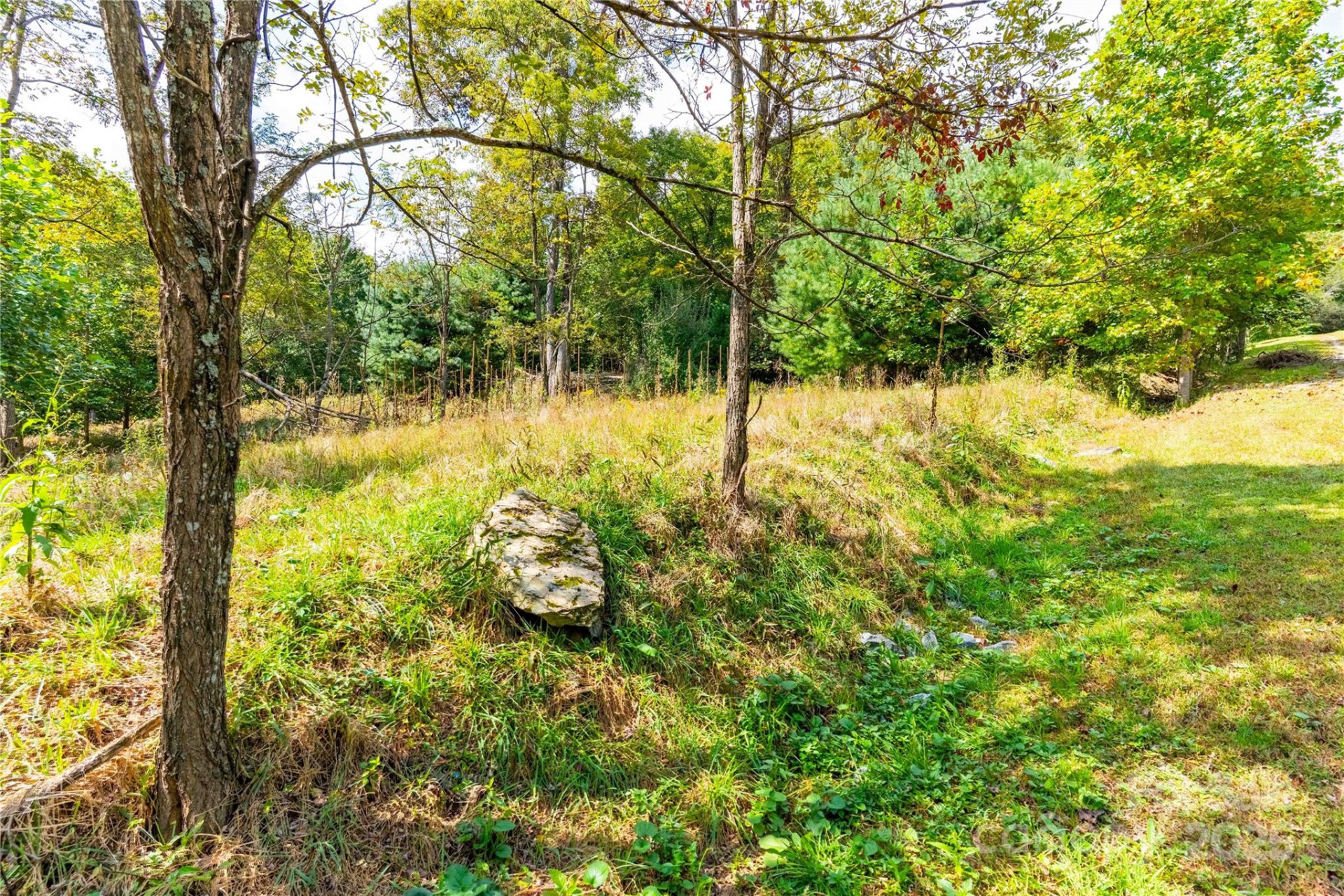 1043 Somersby Parkway - Photo 2