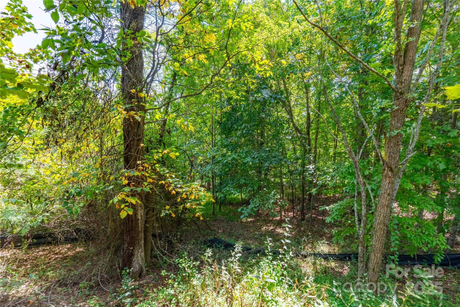 1043 Somersby Parkway - Photo 11