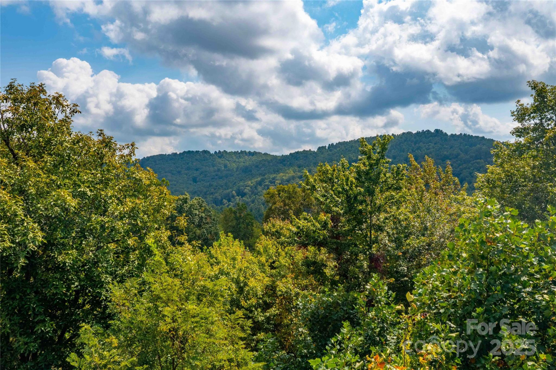 1043 Somersby Parkway - Photo 16