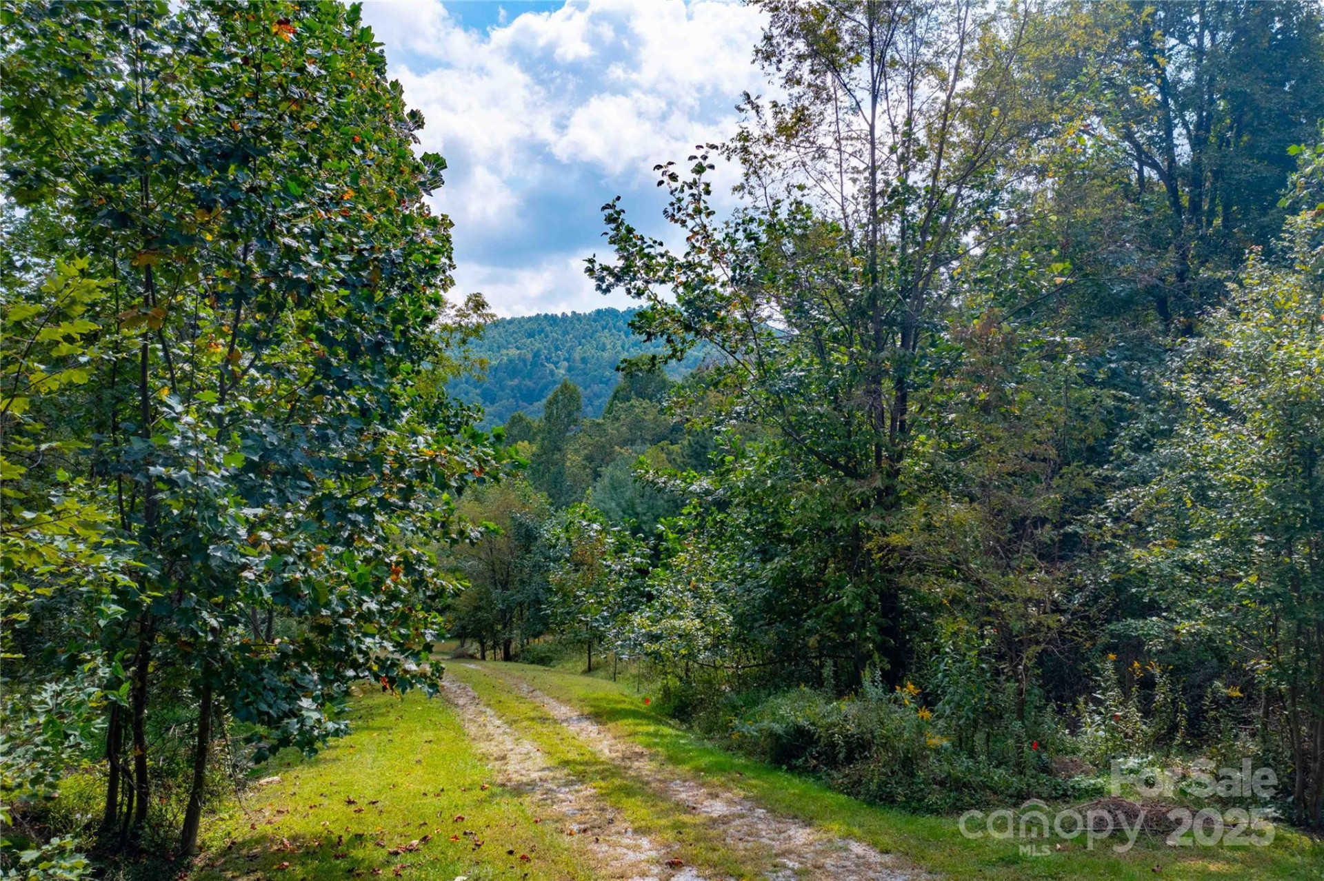 1043 Somersby Parkway - Photo 17