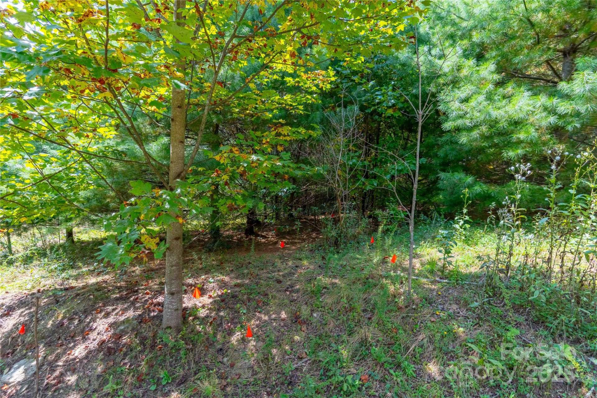 1043 Somersby Parkway - Photo 6