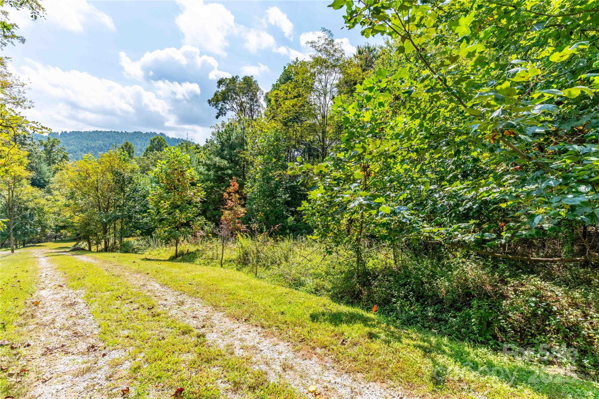 1043 Somersby Parkway - Photo 7