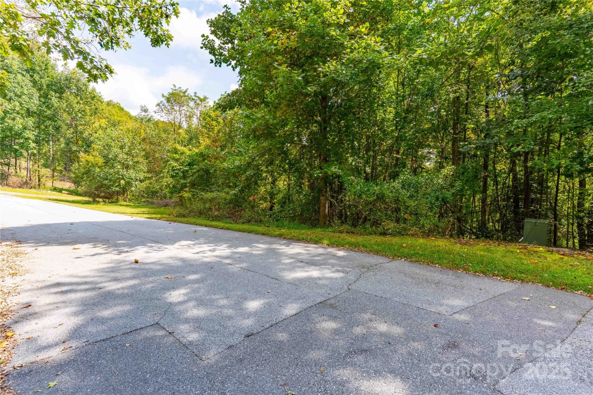 1043 Somersby Parkway - Photo 8