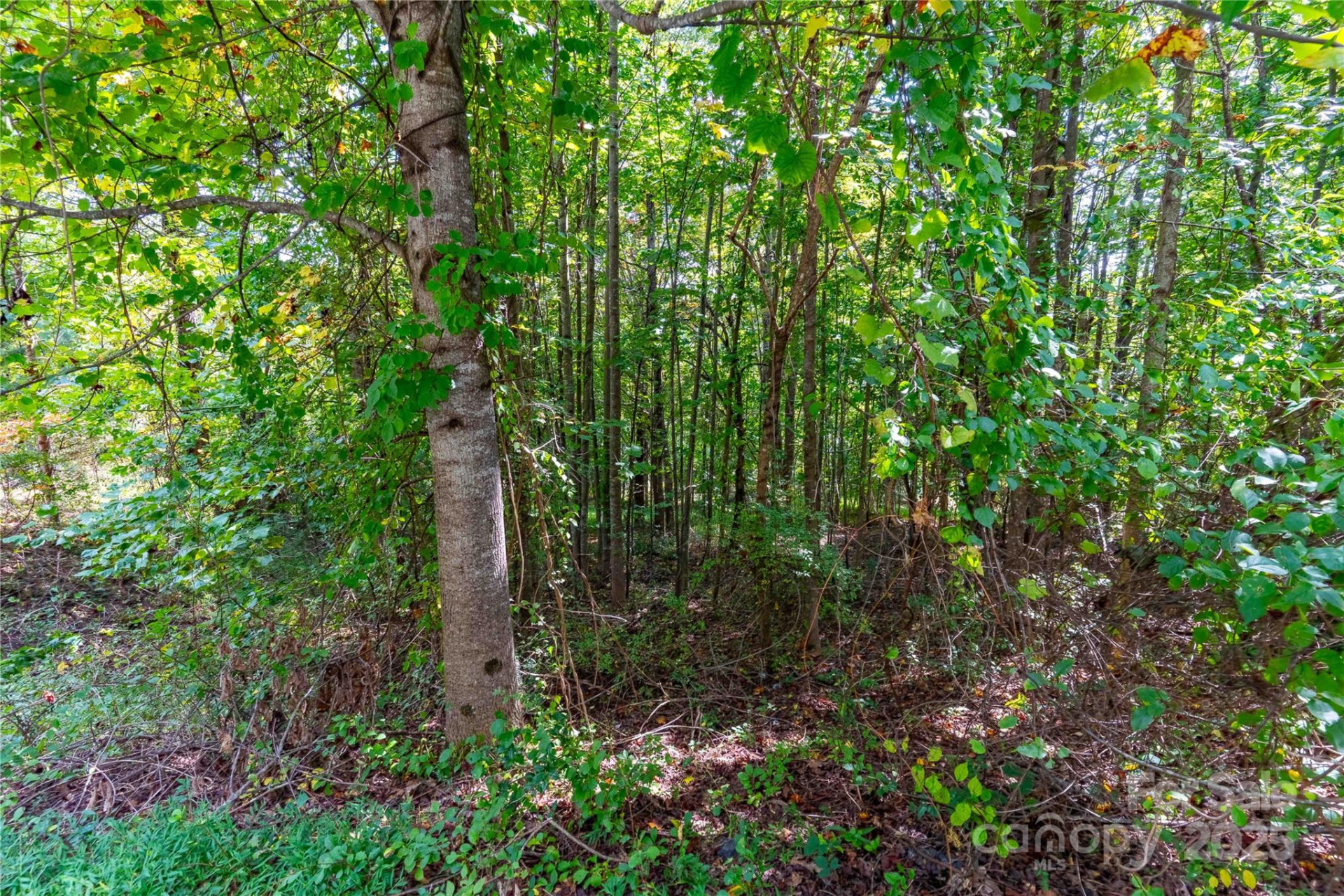 1043 Somersby Parkway - Photo 10