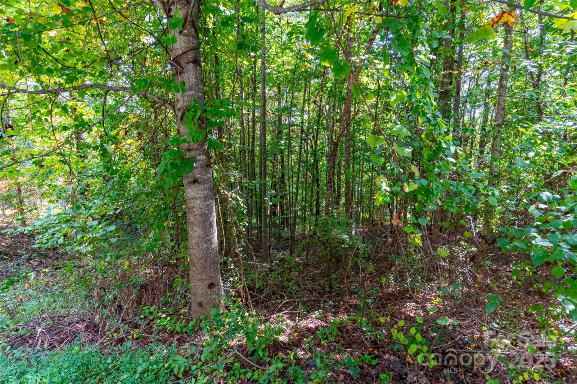 1043 Somersby Parkway - Photo 10