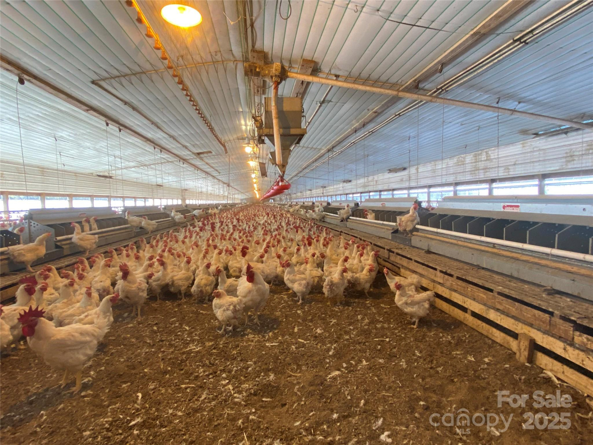 382 Poole Road - Photo 8