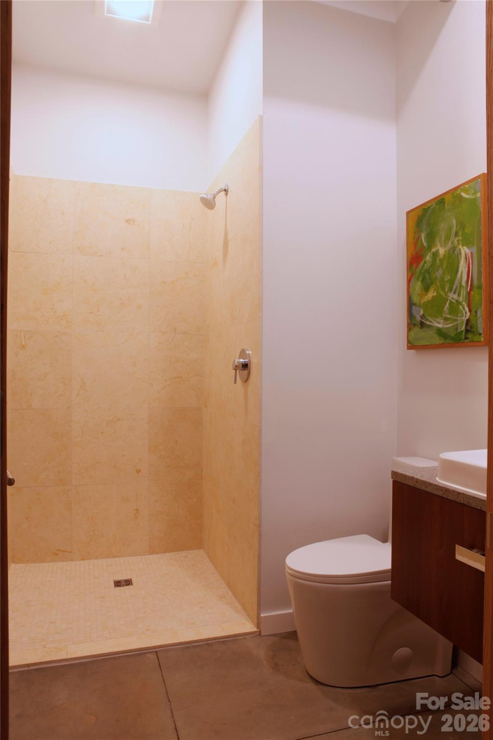 17 Fig Tree Lane - Photo 32