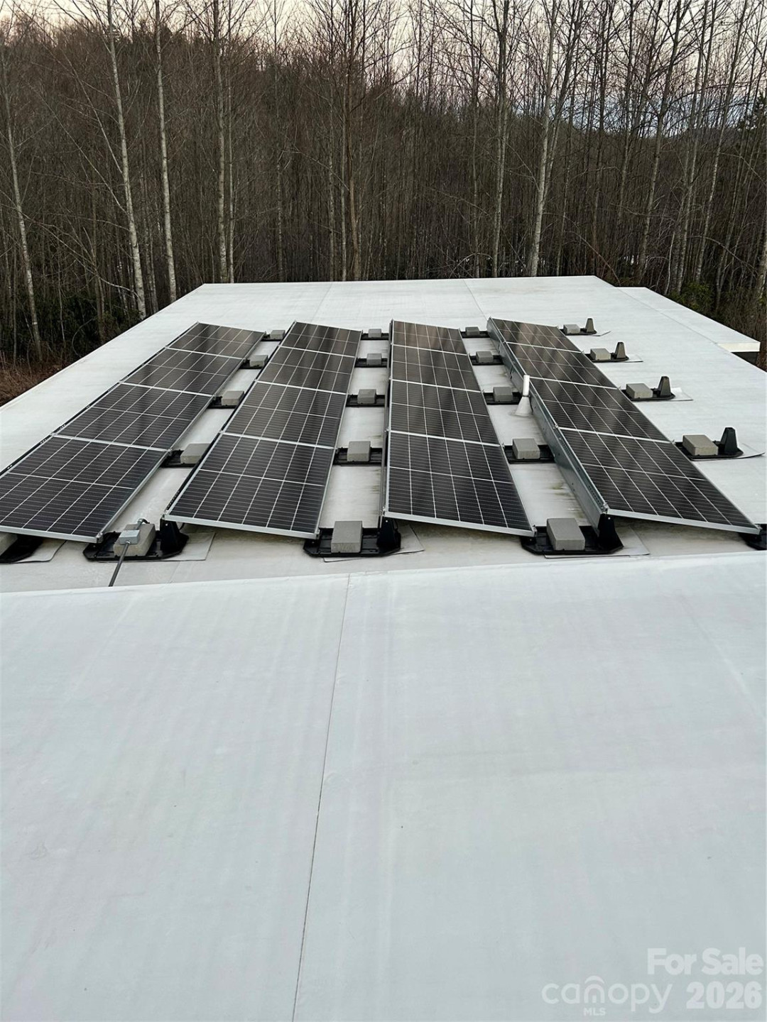 17 Fig Tree Lane - Photo 37