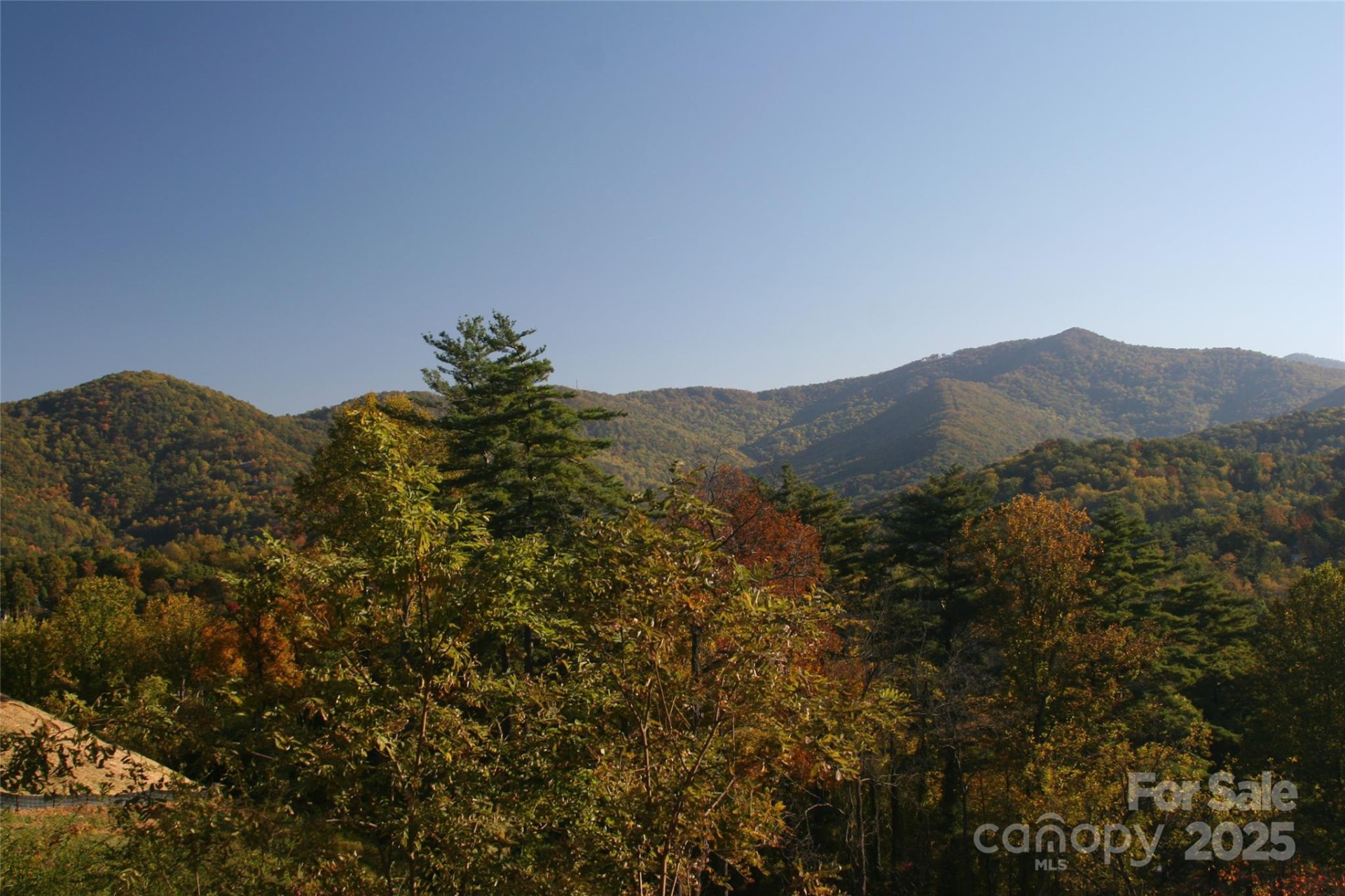 68 Wolfebridge Lane #16