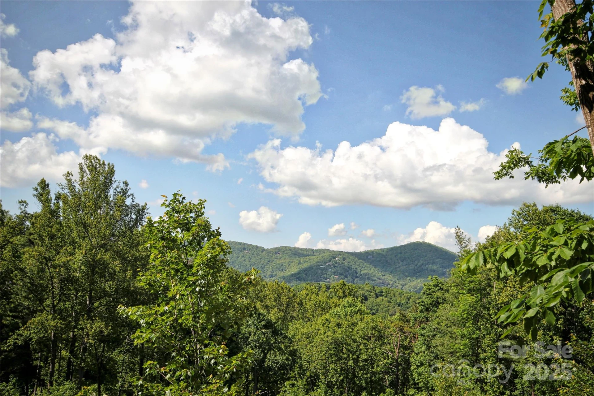 68 Wolfebridge Lane #16 - Photo 3