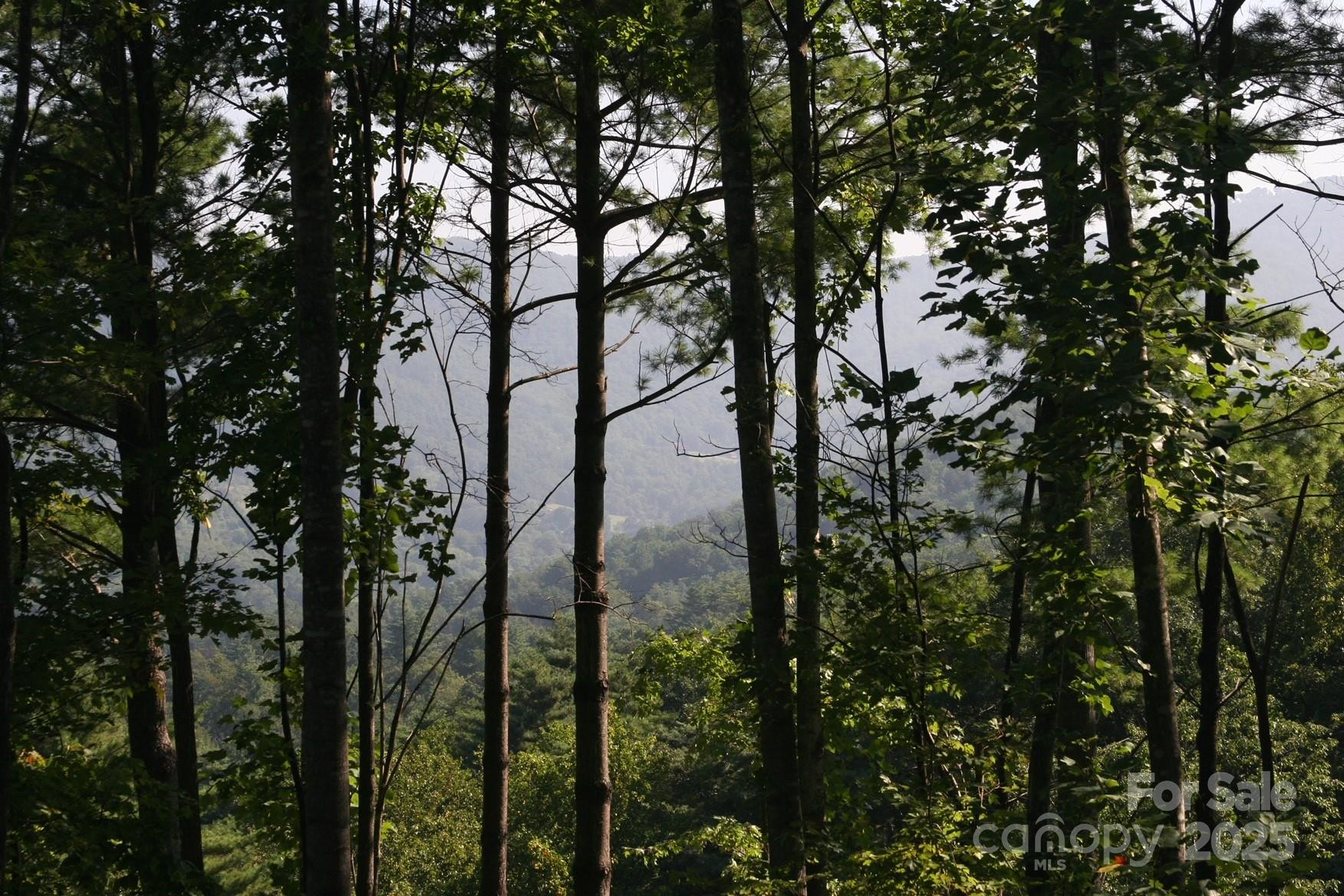 68 Wolfebridge Lane #16 - Photo 4