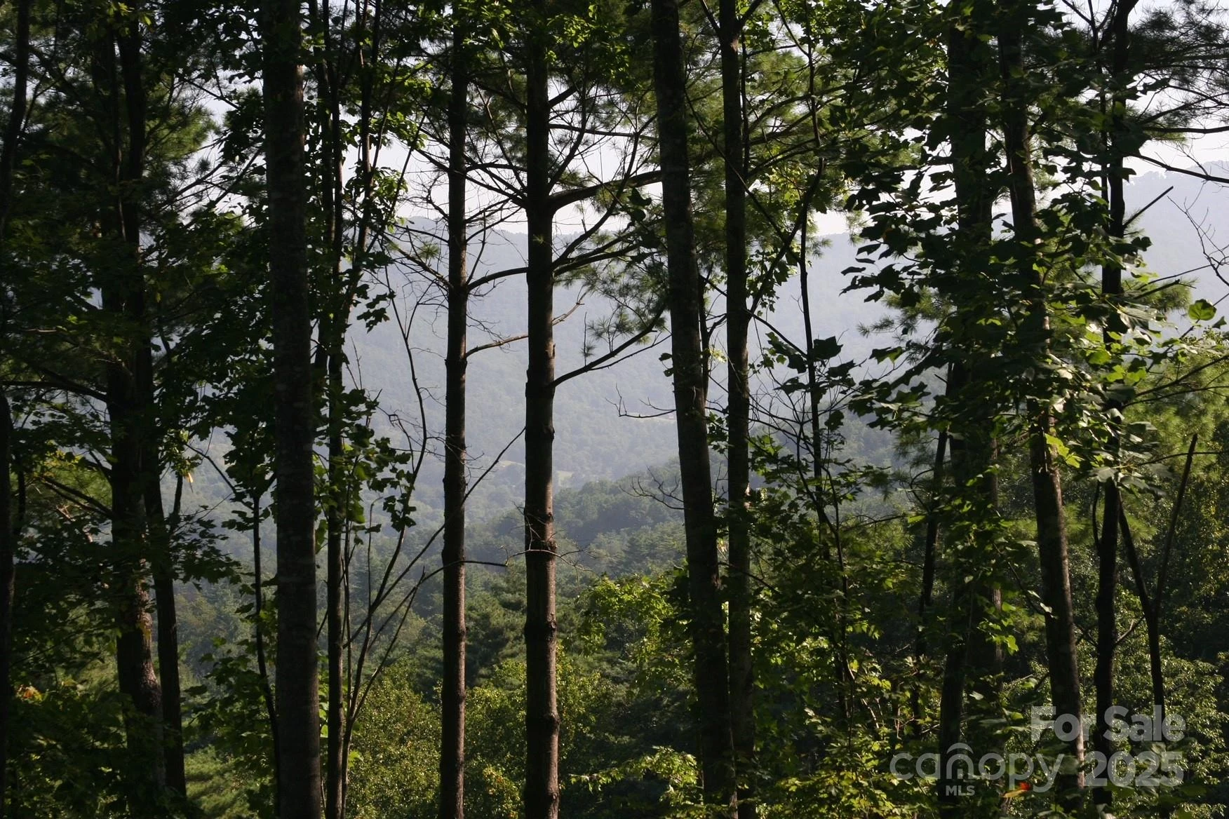 68 Wolfebridge Lane #16 - Photo 4
