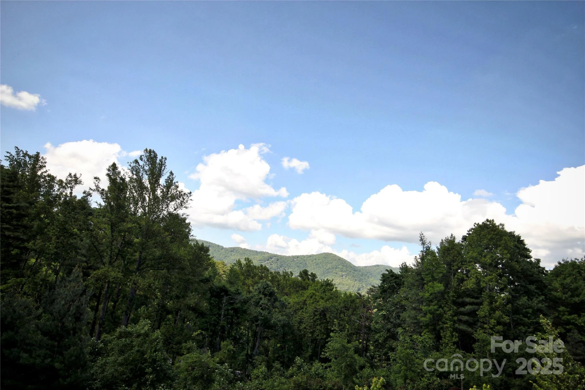 68 Wolfebridge Lane #16 - Photo 5