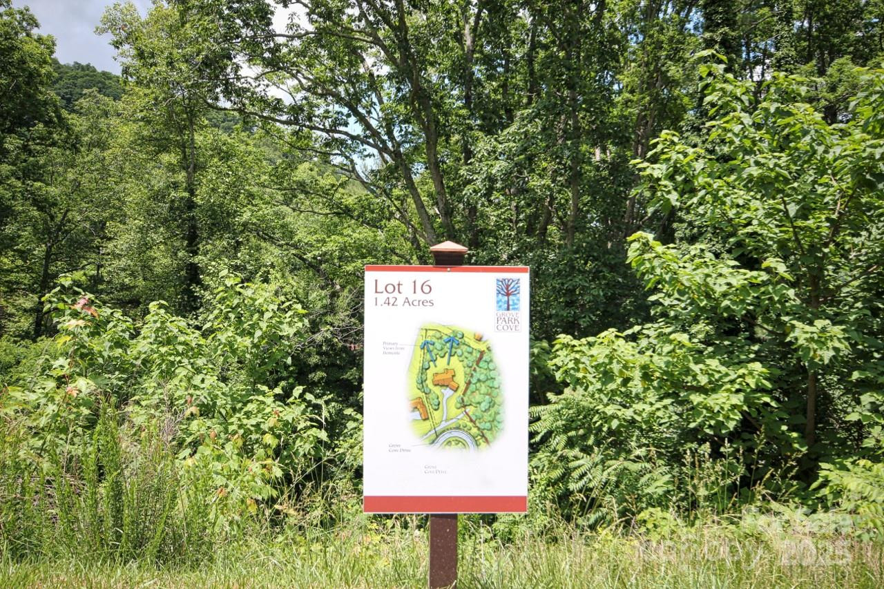 68 Wolfebridge Lane #16 - Photo 6