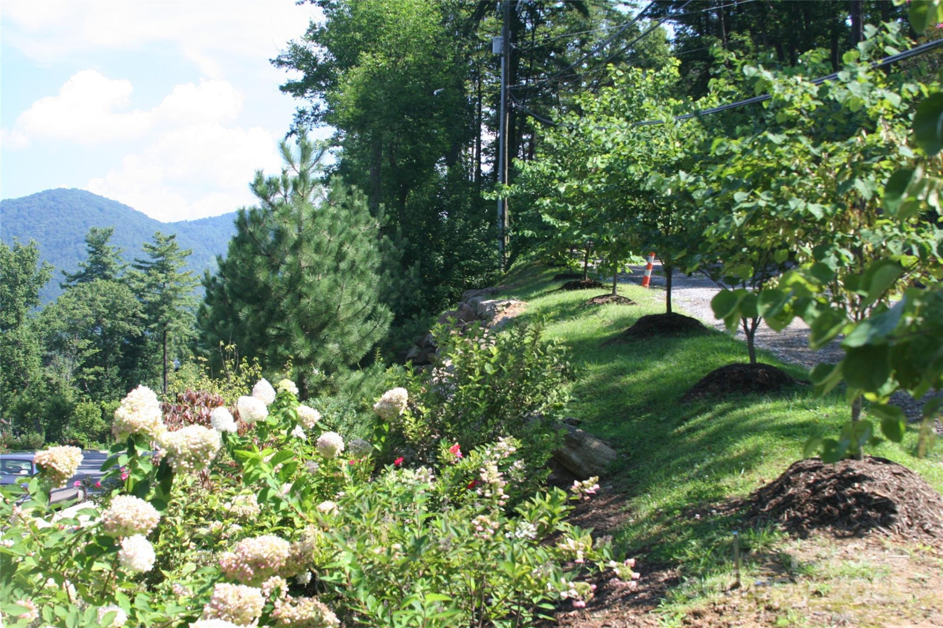 68 Wolfebridge Lane #16 - Photo 10