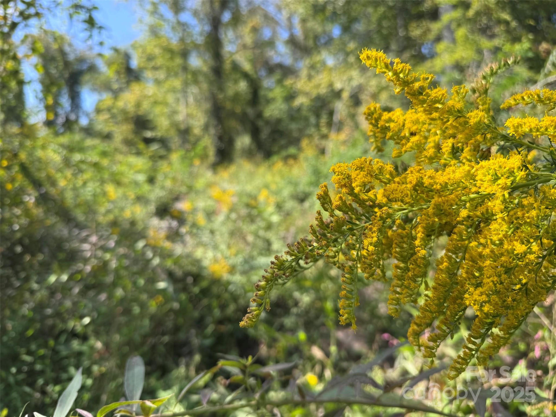 89 White Oak Gap Road - Photo 12