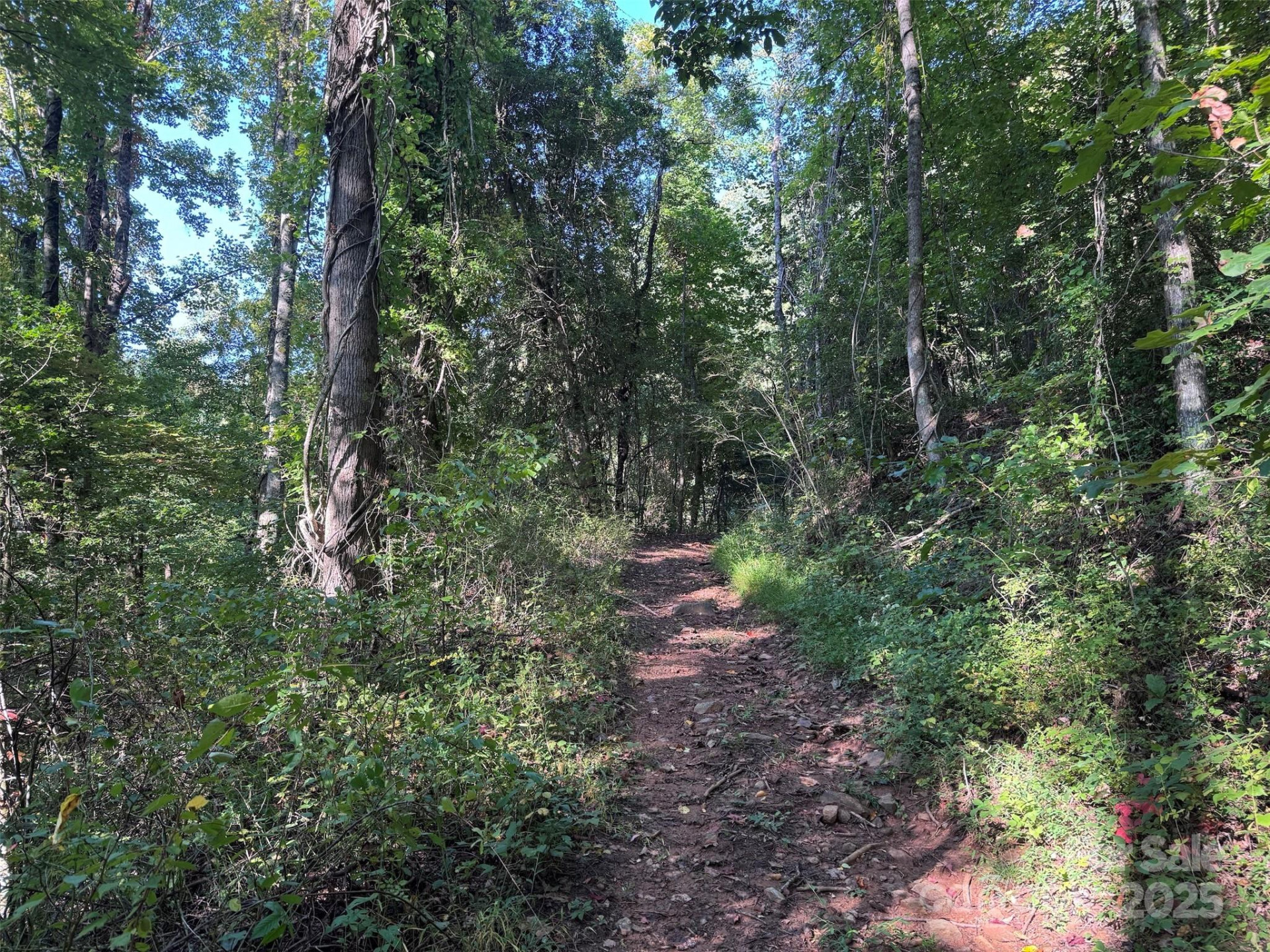 89 White Oak Gap Road - Photo 14