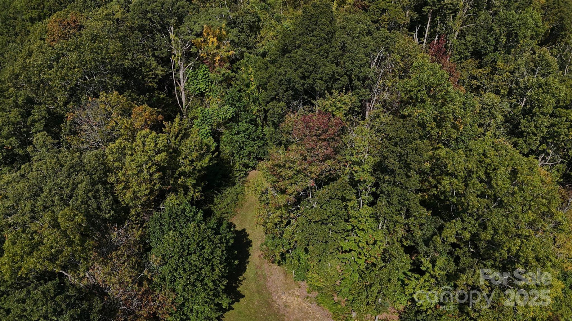 89 White Oak Gap Road - Photo 17