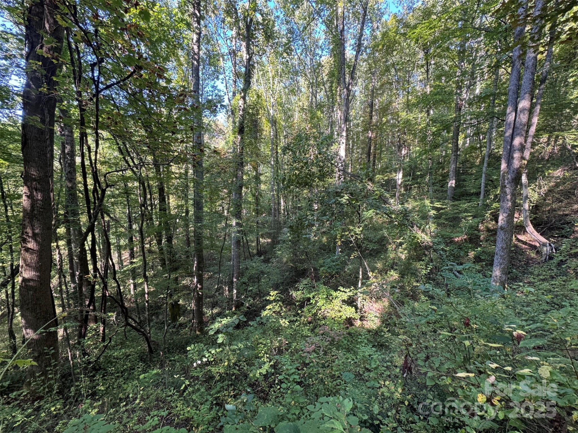 89 White Oak Gap Road - Photo 18