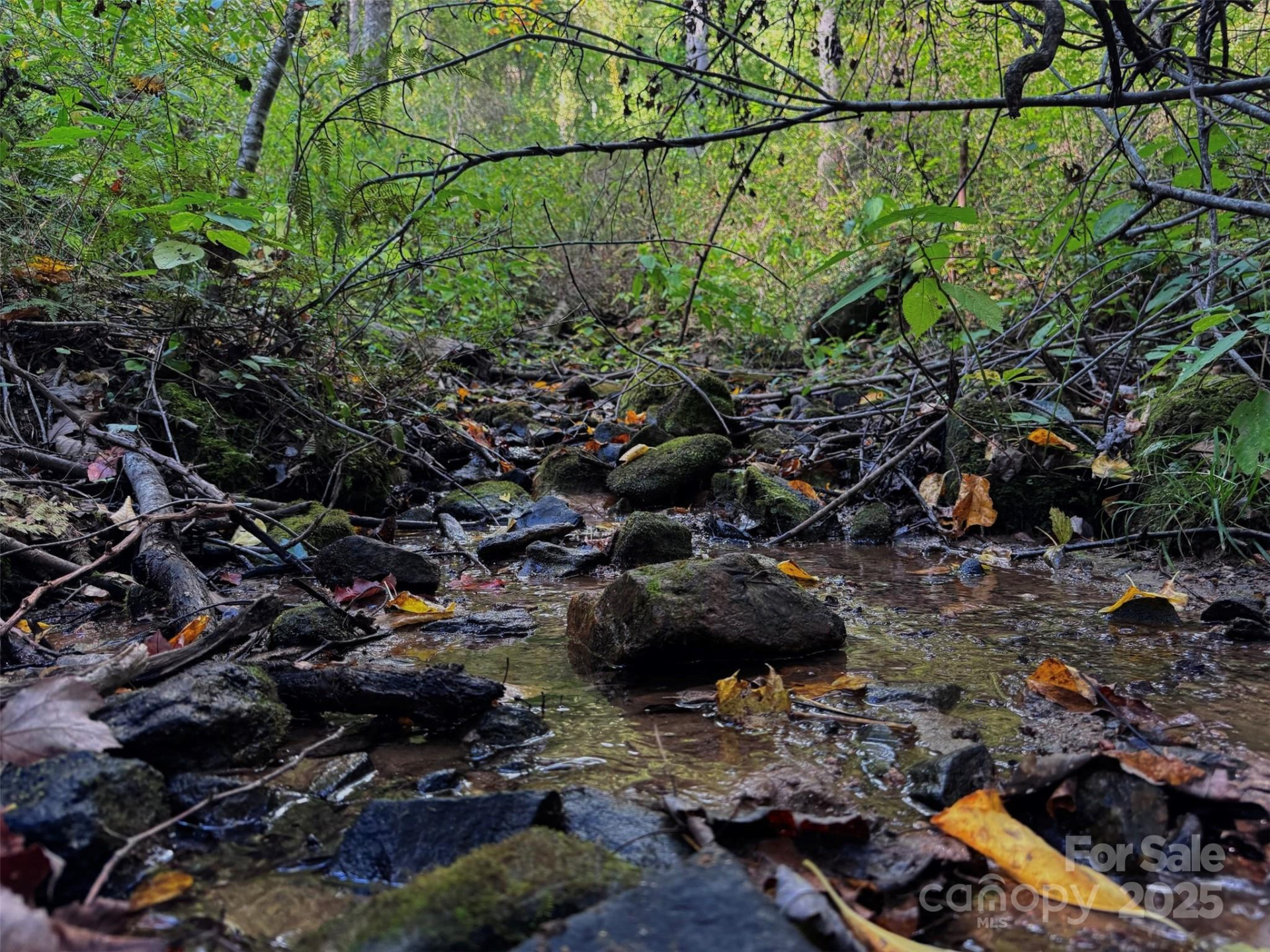 89 White Oak Gap Road - Photo 19