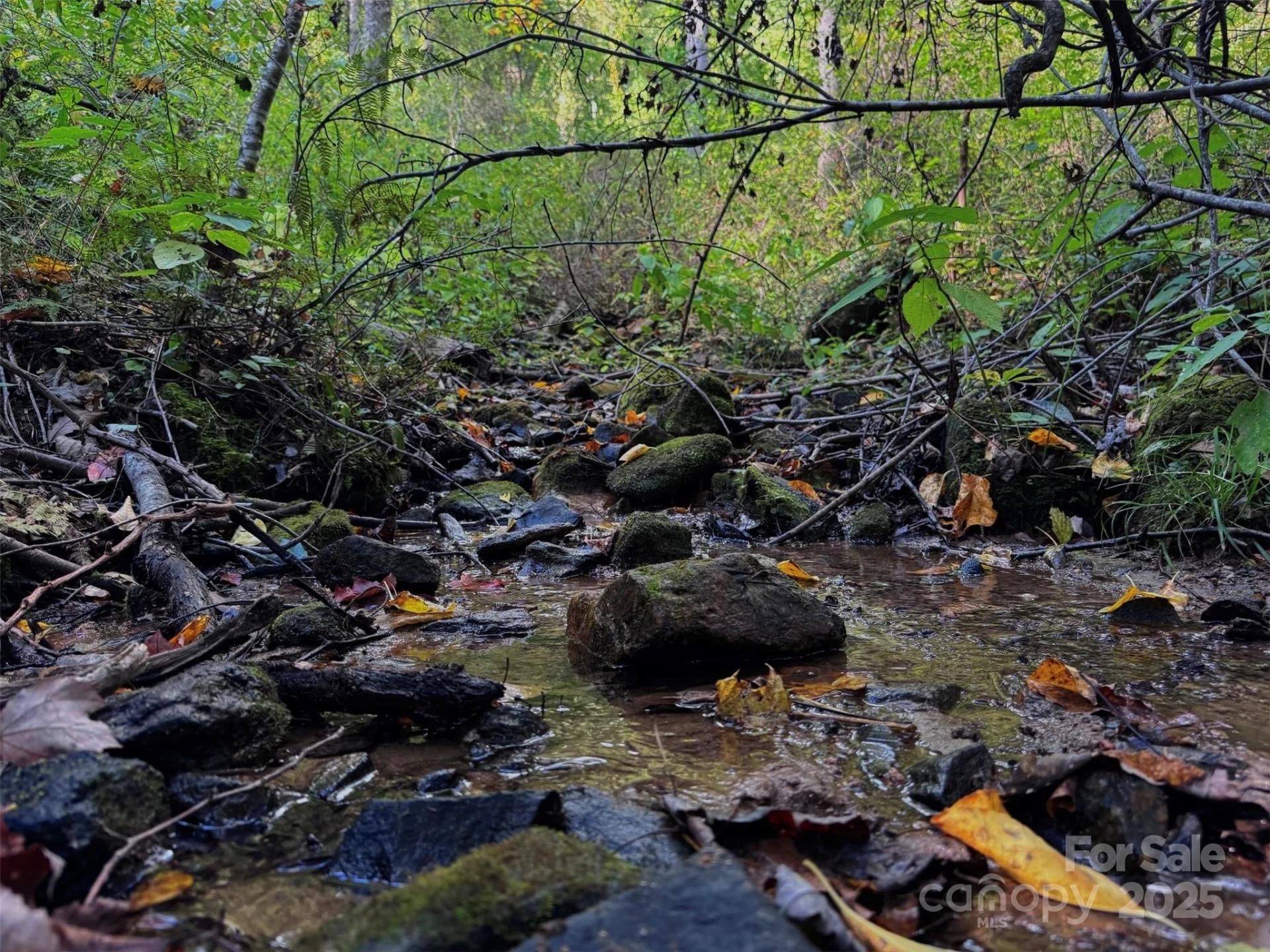 89 White Oak Gap Road - Photo 19