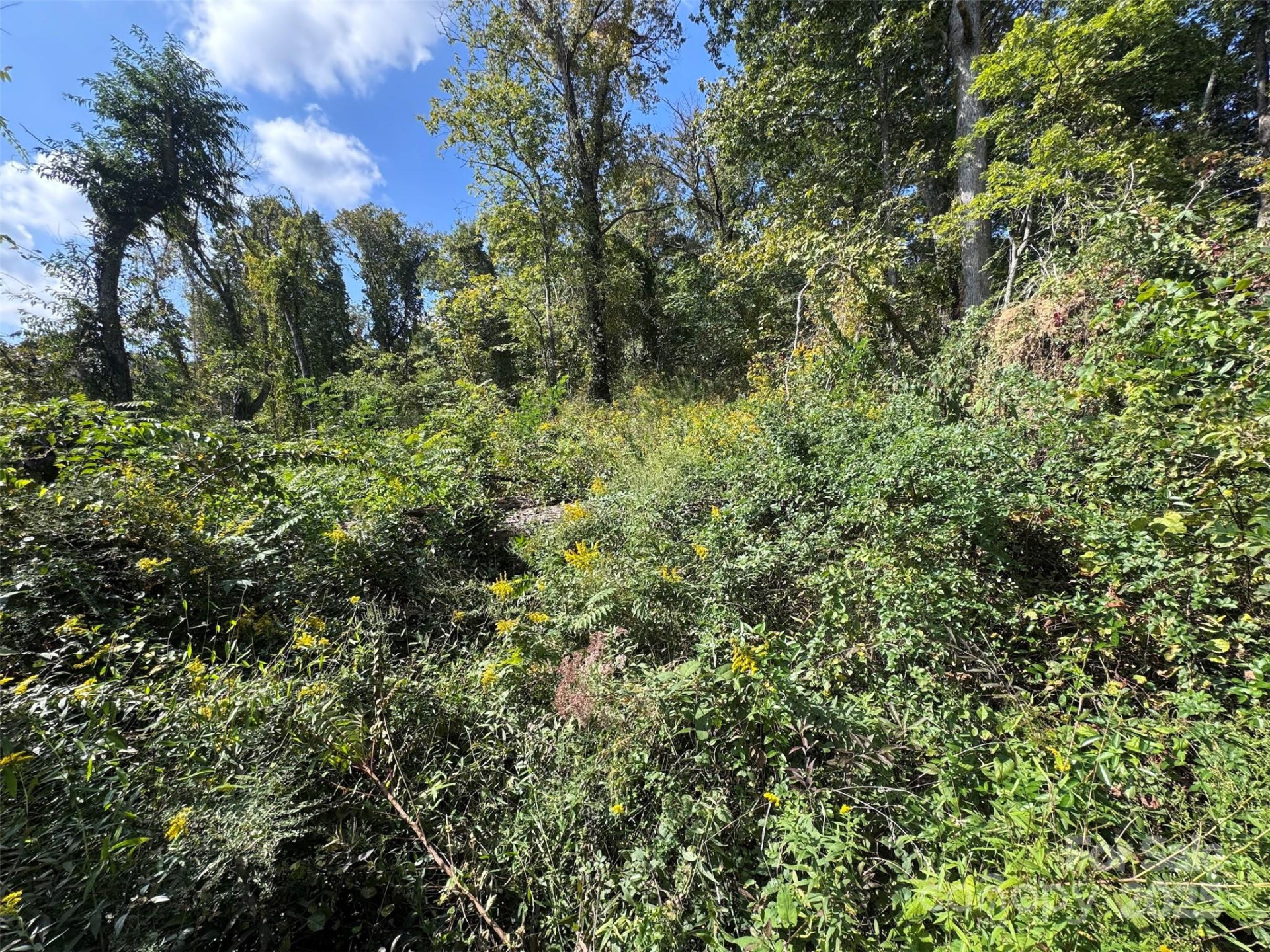 89 White Oak Gap Road - Photo 24