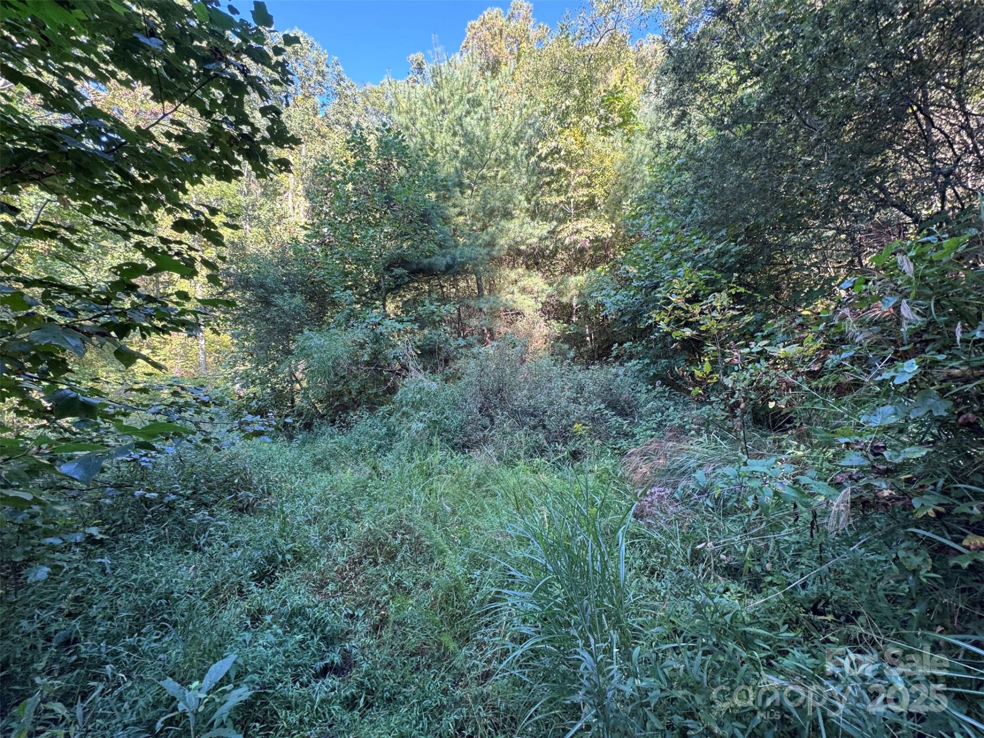 89 White Oak Gap Road - Photo 25