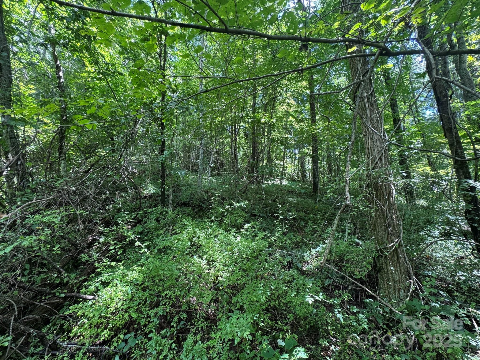 89 White Oak Gap Road - Photo 27