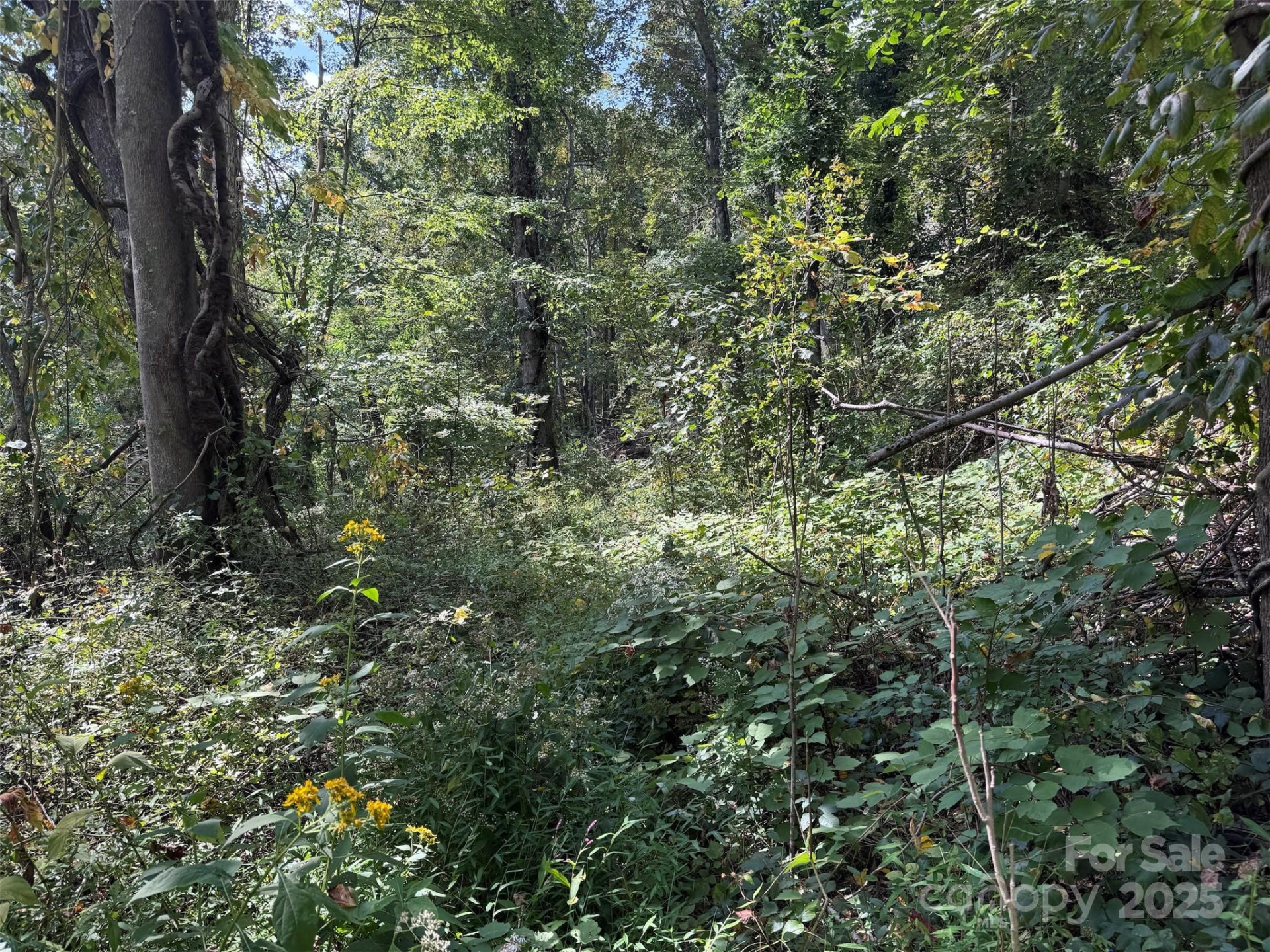 89 White Oak Gap Road - Photo 28