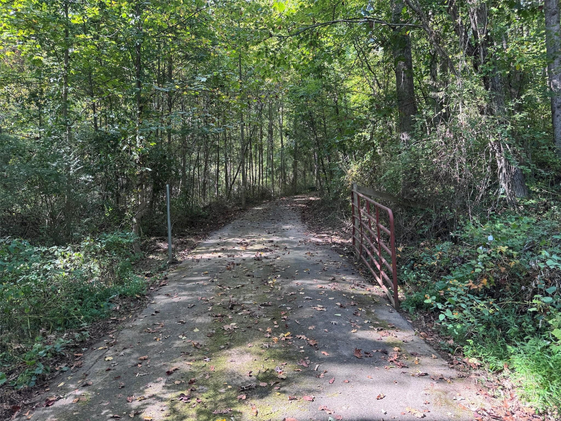 89 White Oak Gap Road - Photo 5