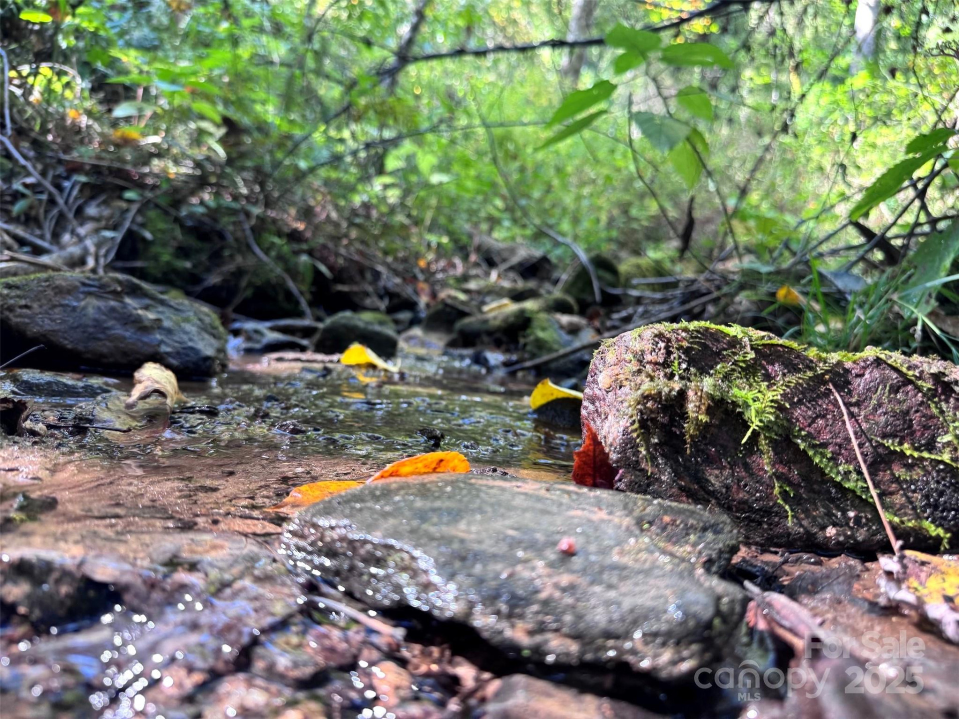 89 White Oak Gap Road - Photo 6