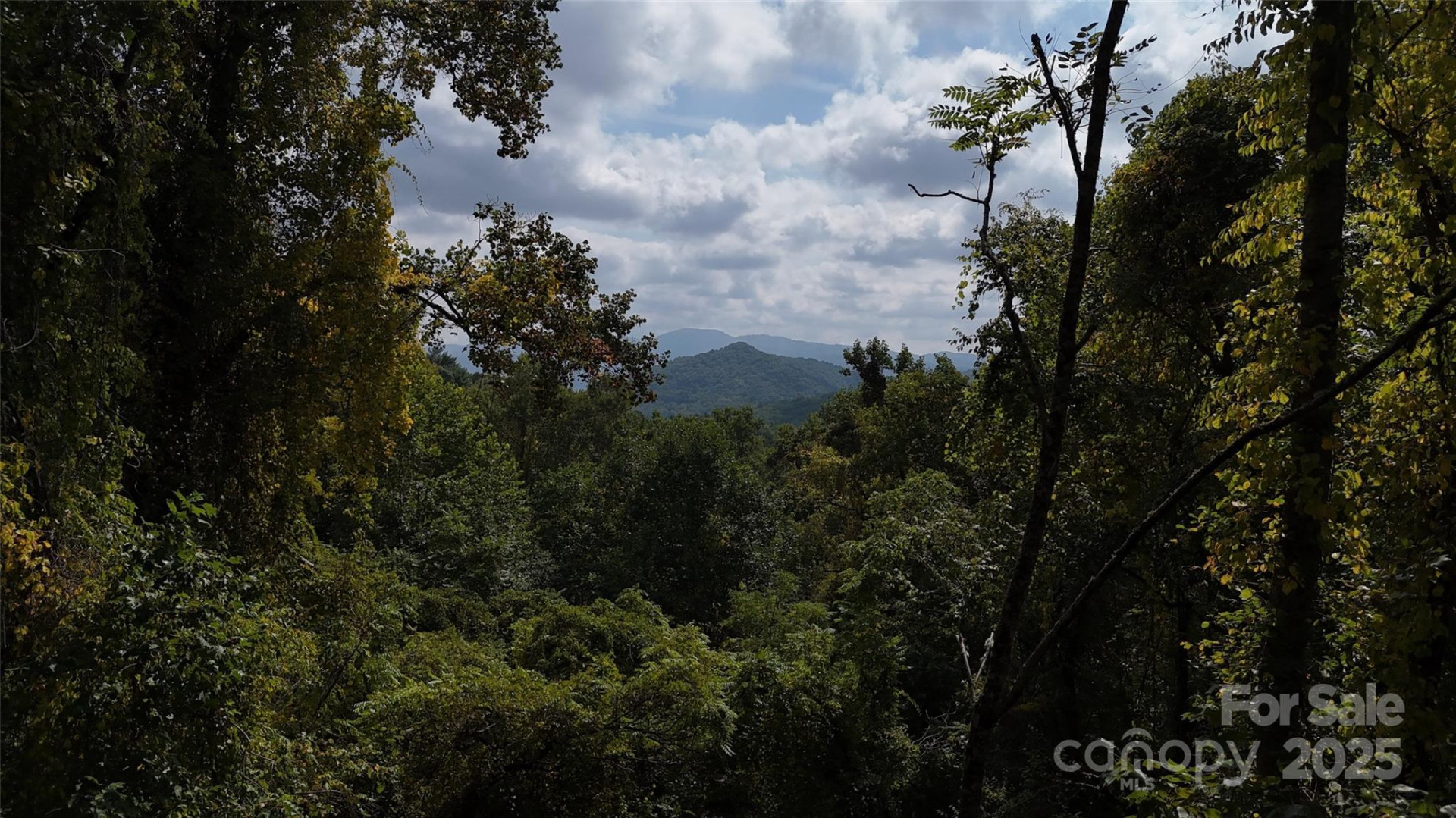 89 White Oak Gap Road - Photo 9