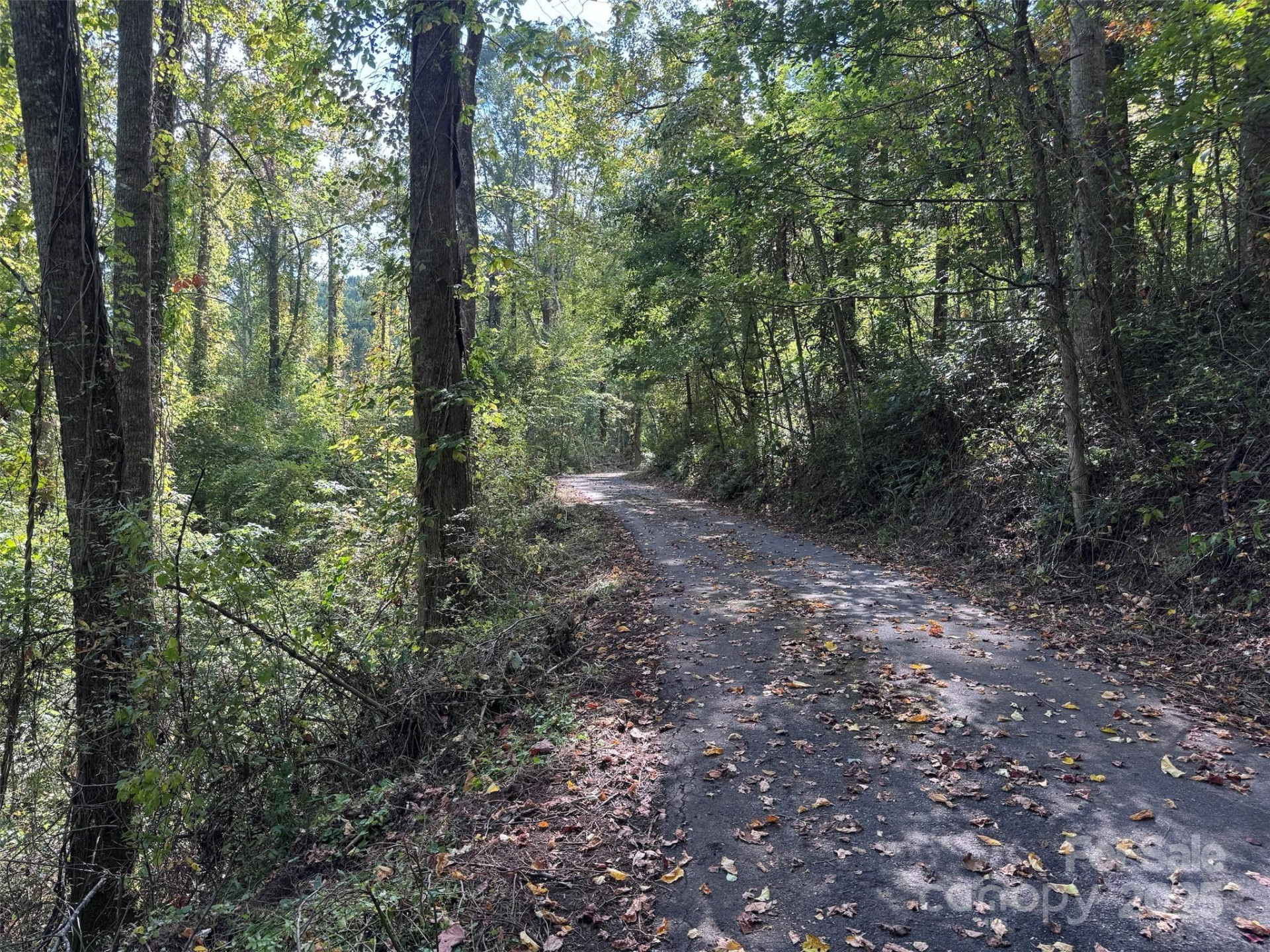 89 White Oak Gap Road - Photo 10