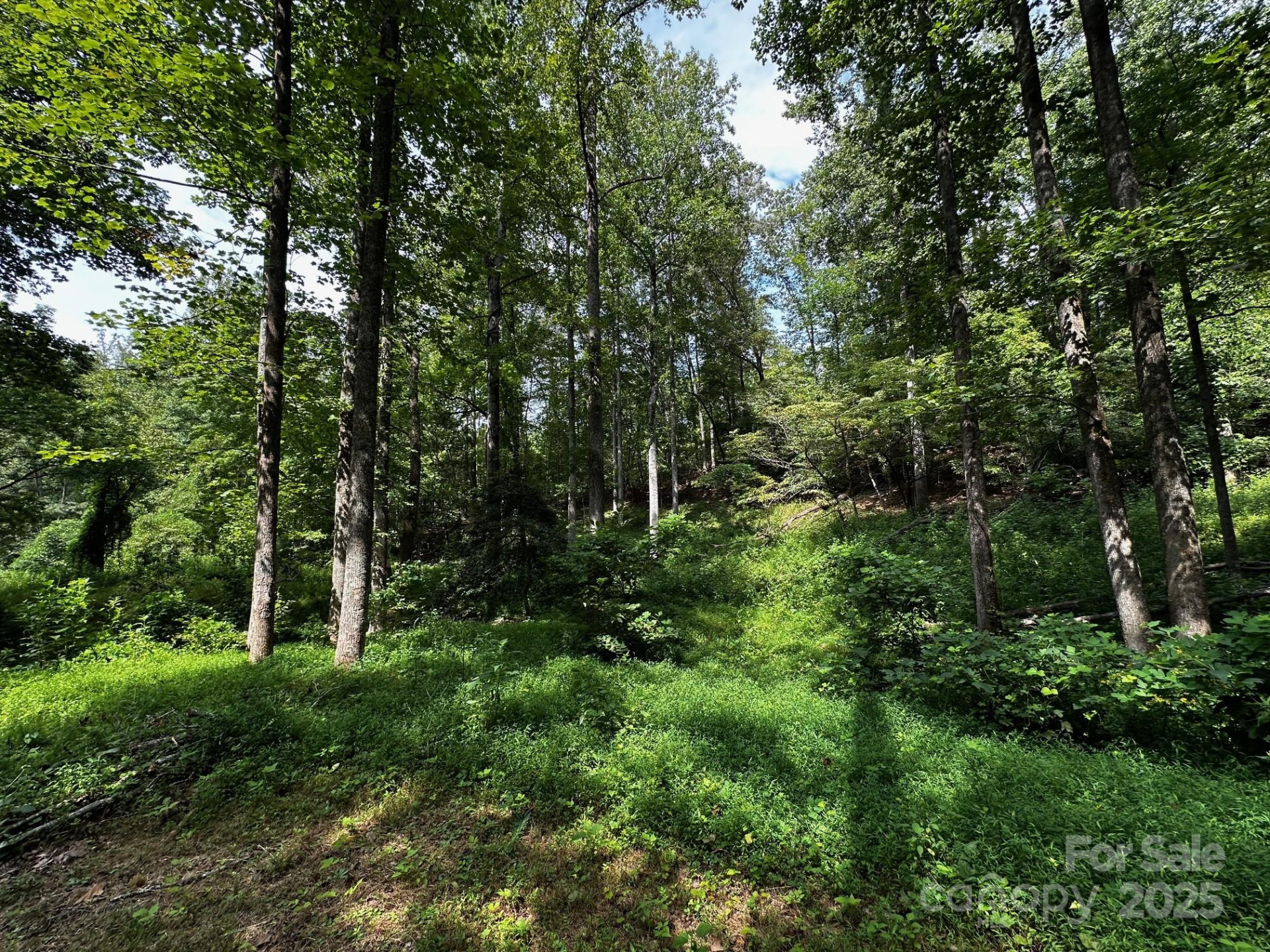 9999 Rock Ledge Drive - Photo 11