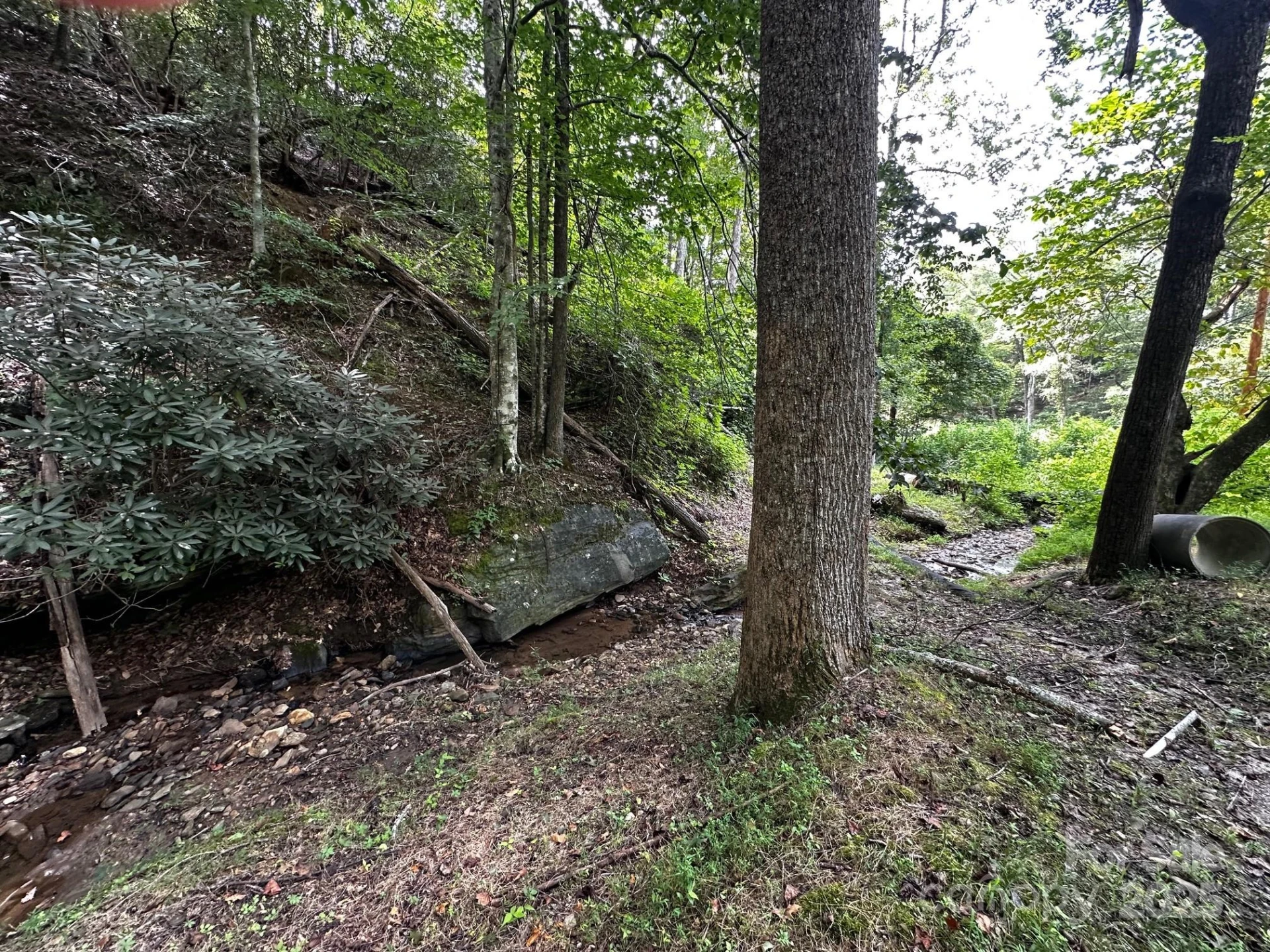 9999 Rock Ledge Drive - Photo 12