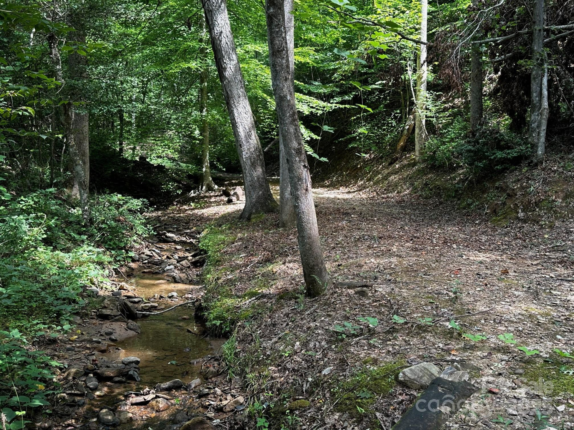 9999 Rock Ledge Drive - Photo 15