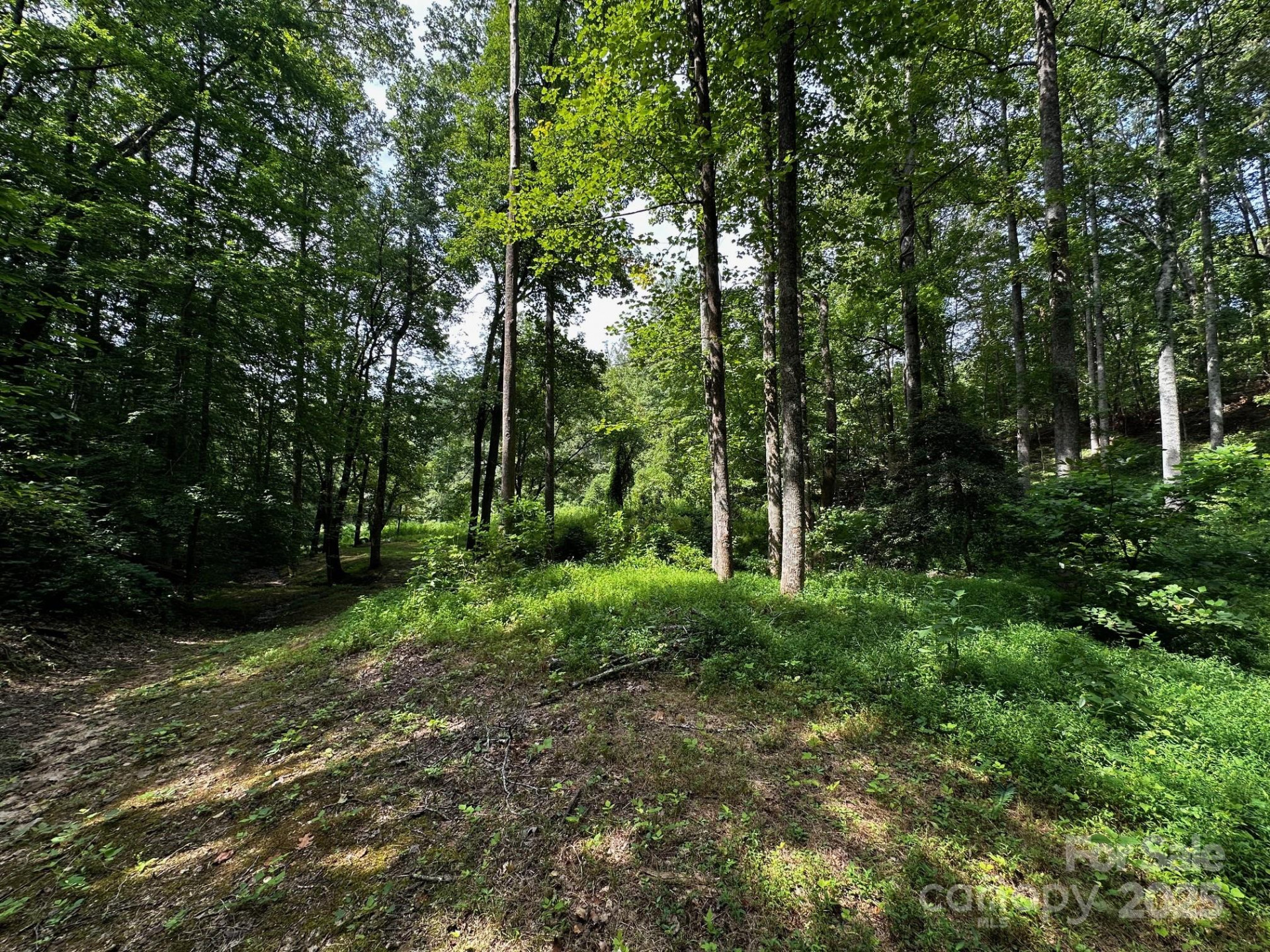 9999 Rock Ledge Drive - Photo 16