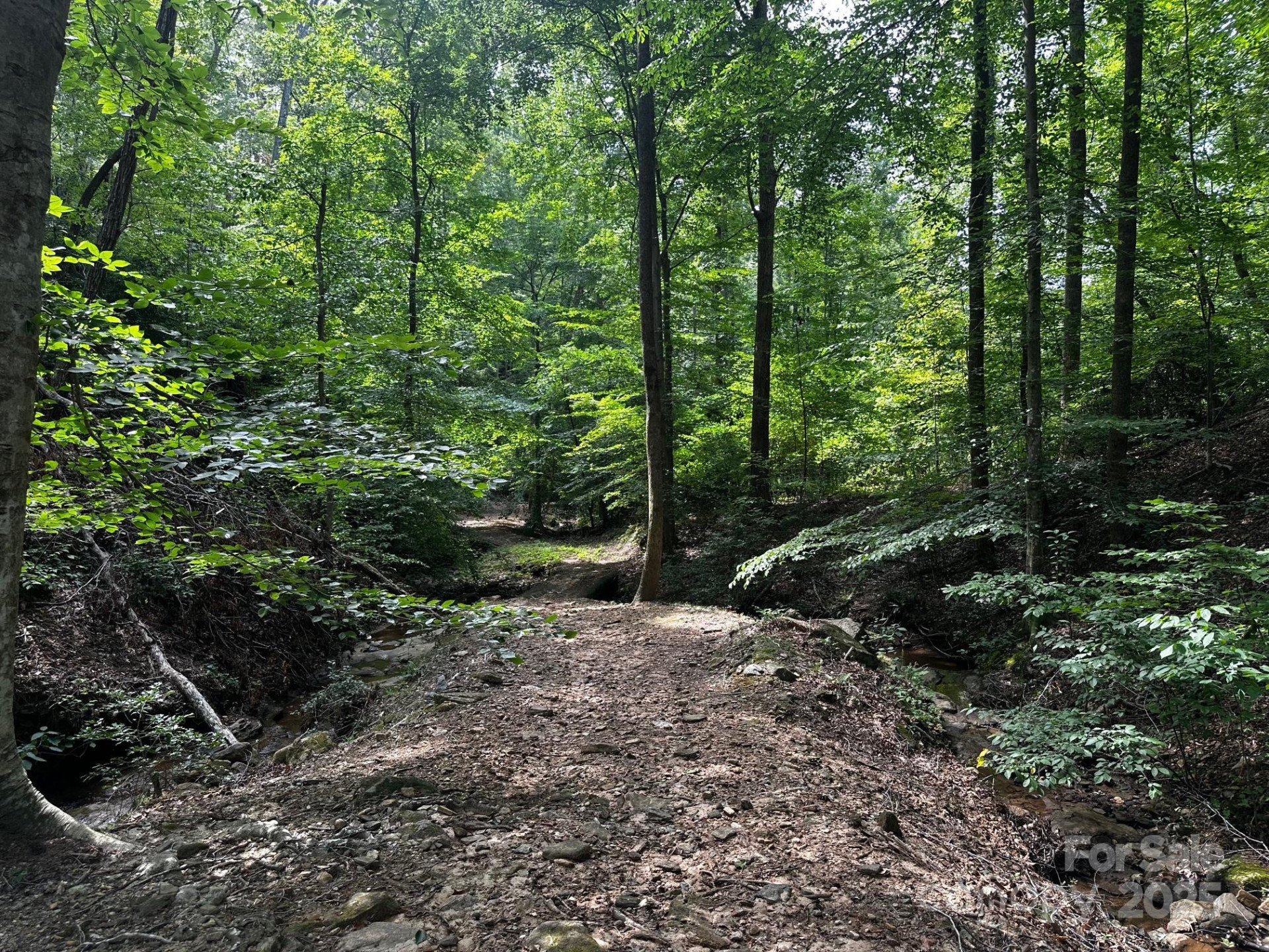 9999 Rock Ledge Drive - Photo 19