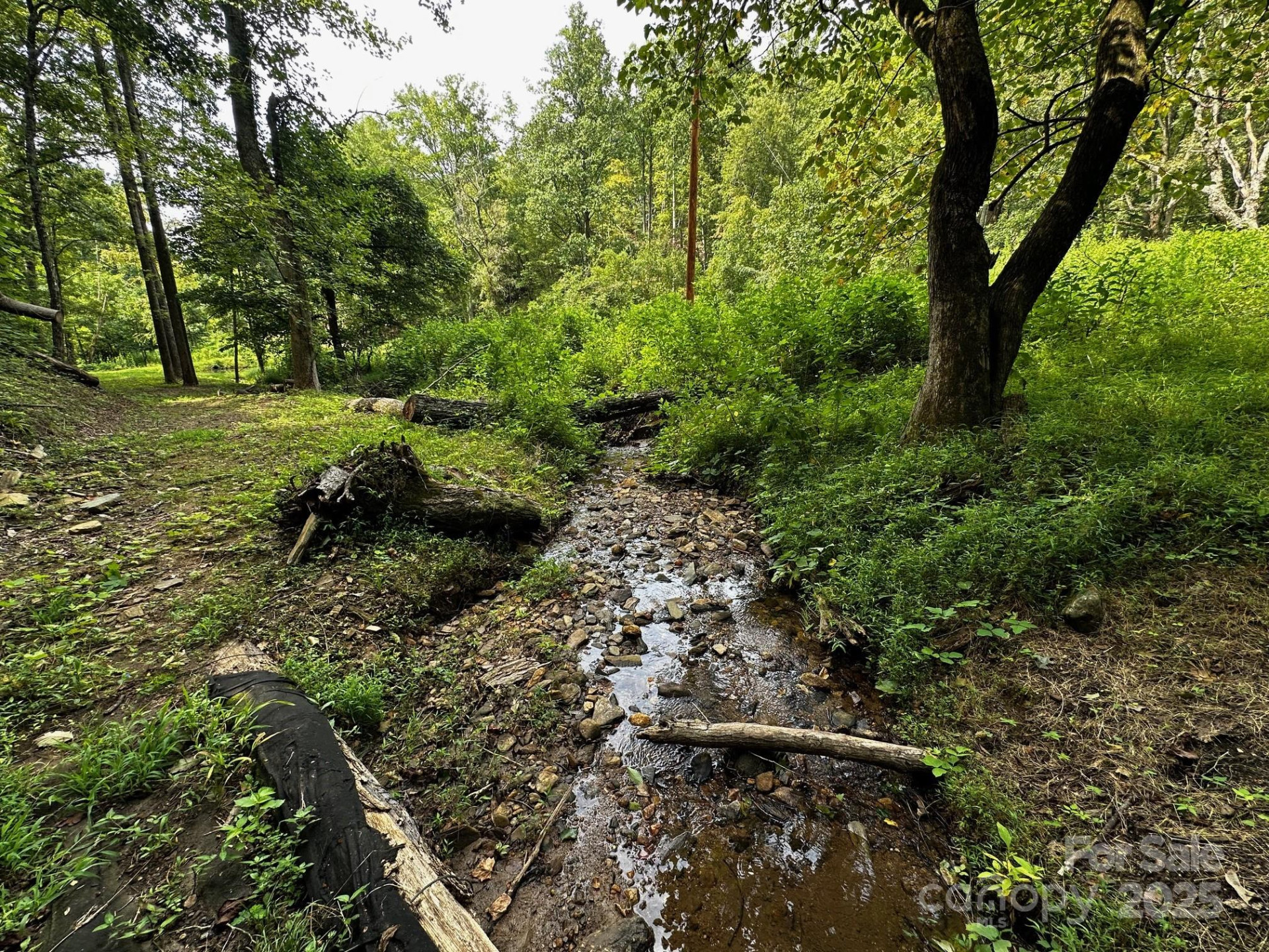 9999 Rock Ledge Drive - Photo 3