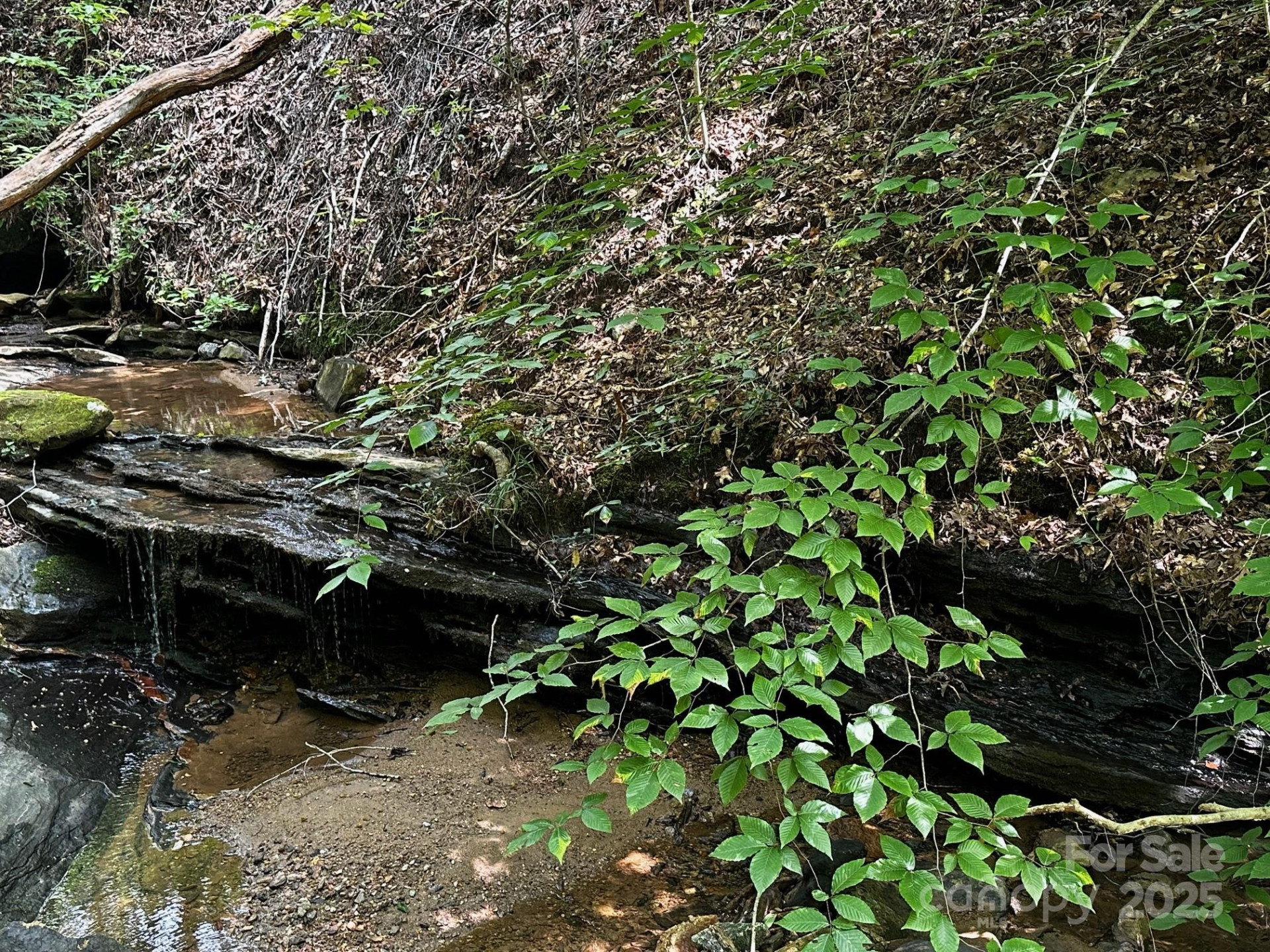 9999 Rock Ledge Drive - Photo 21