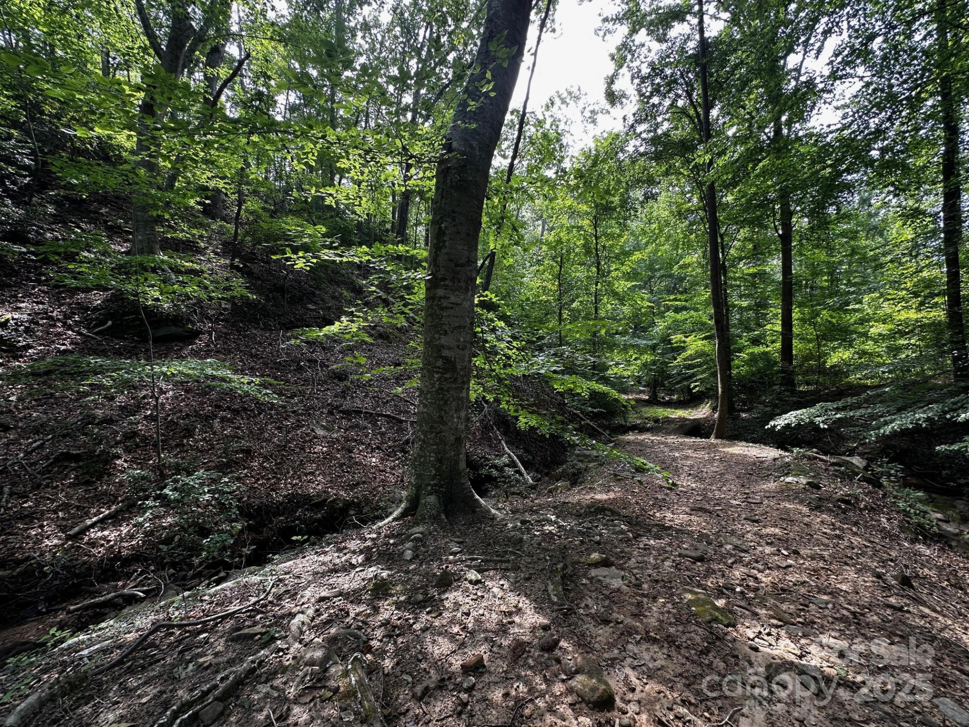 9999 Rock Ledge Drive - Photo 22