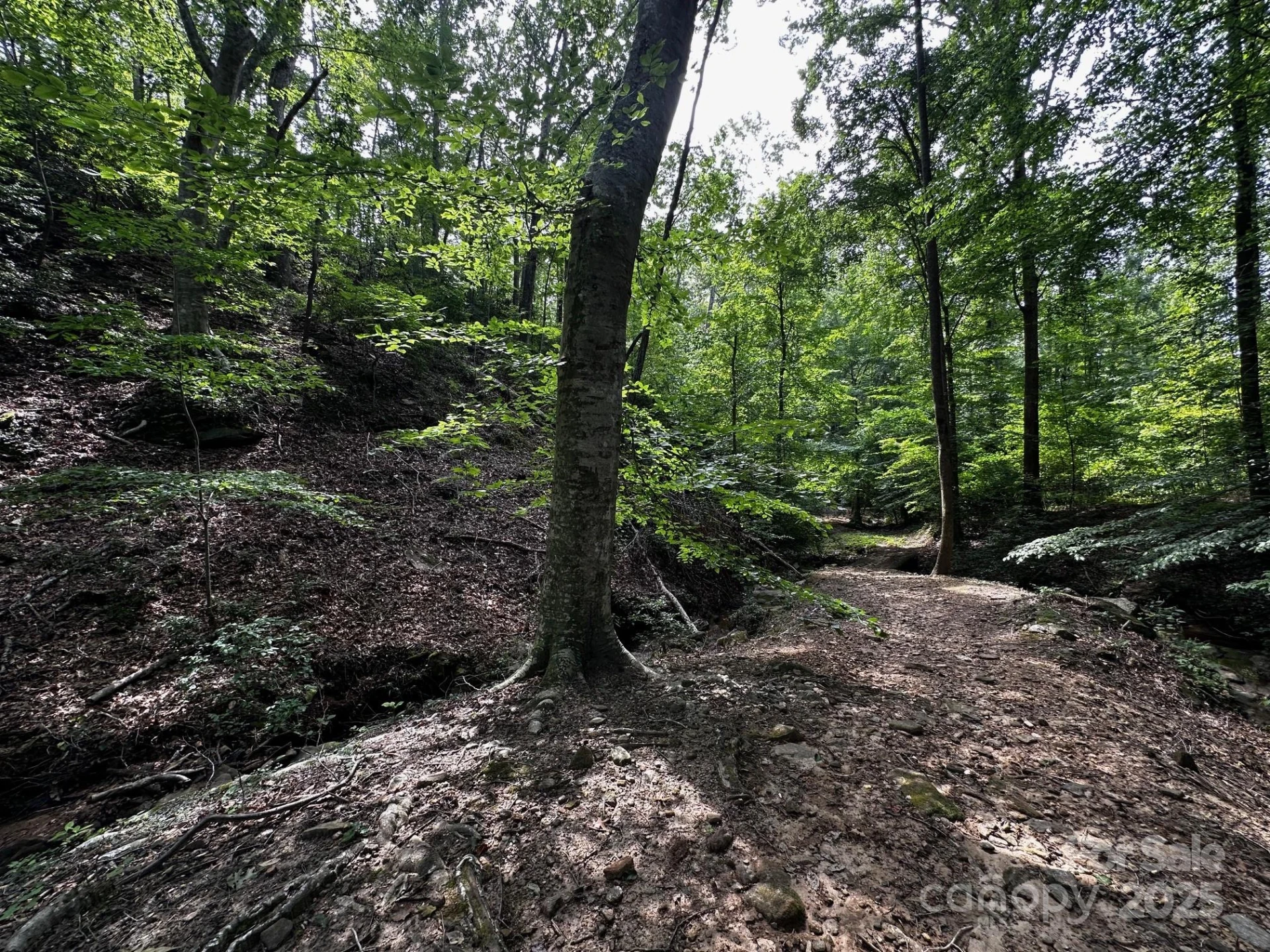 9999 Rock Ledge Drive - Photo 22