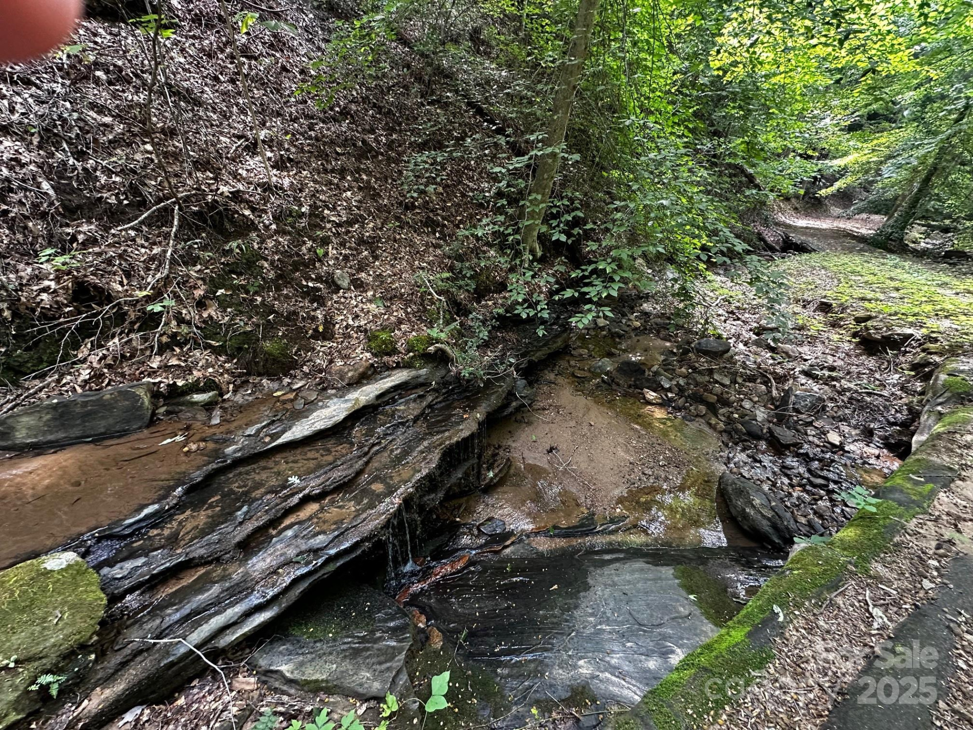 9999 Rock Ledge Drive - Photo 29